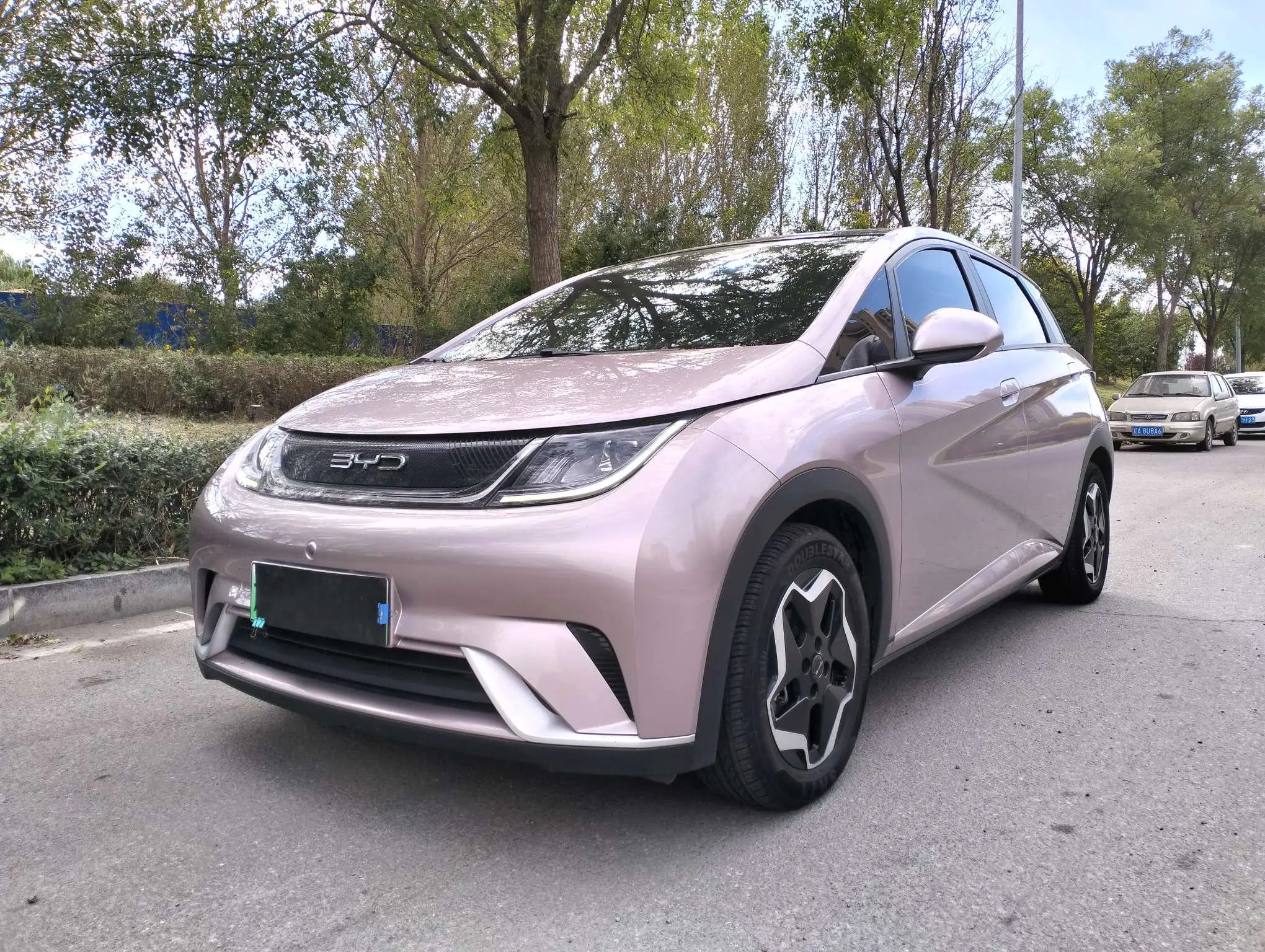 BYD Dolphin  из Китая