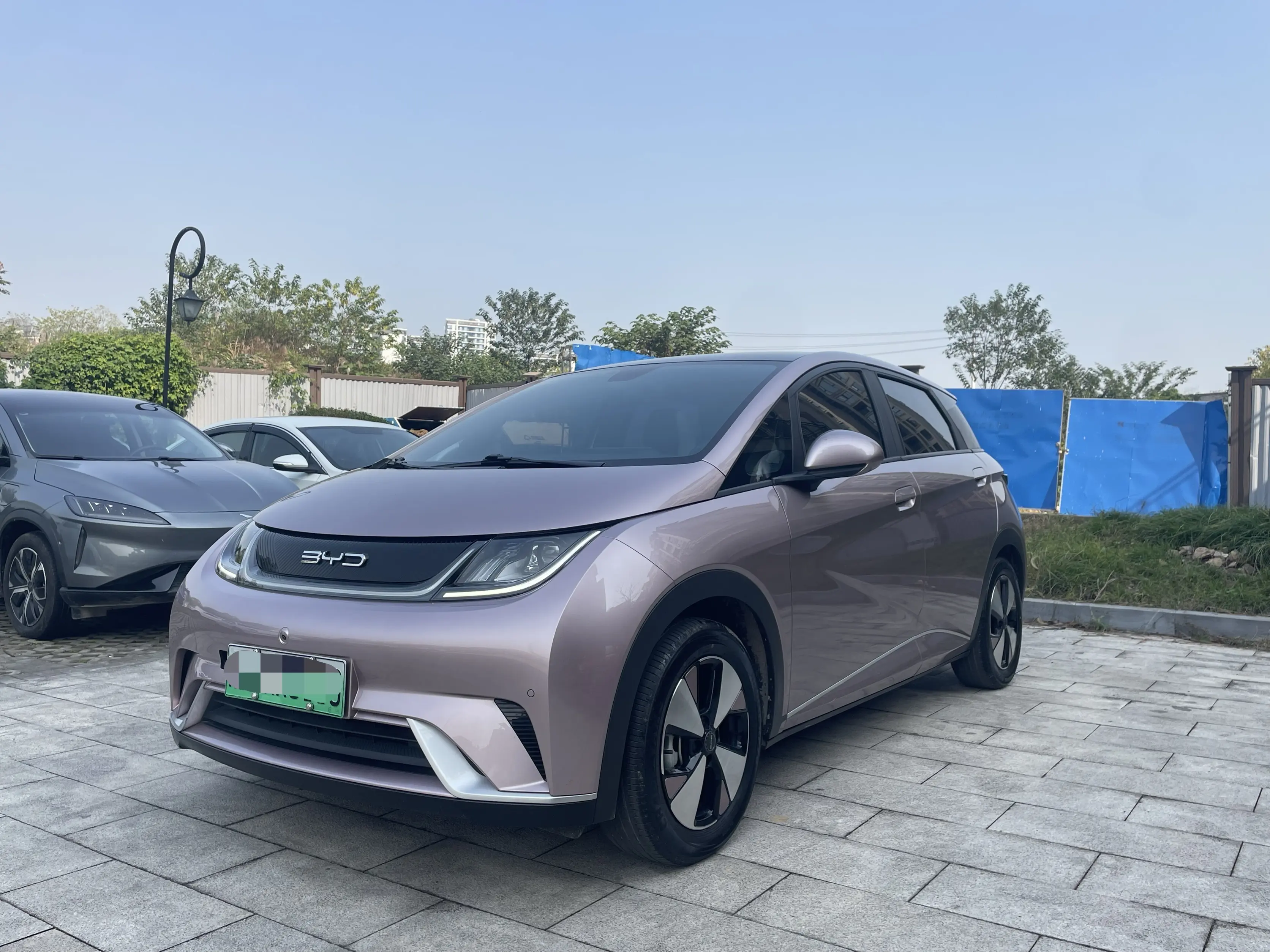 BYD Dolphin  из Китая