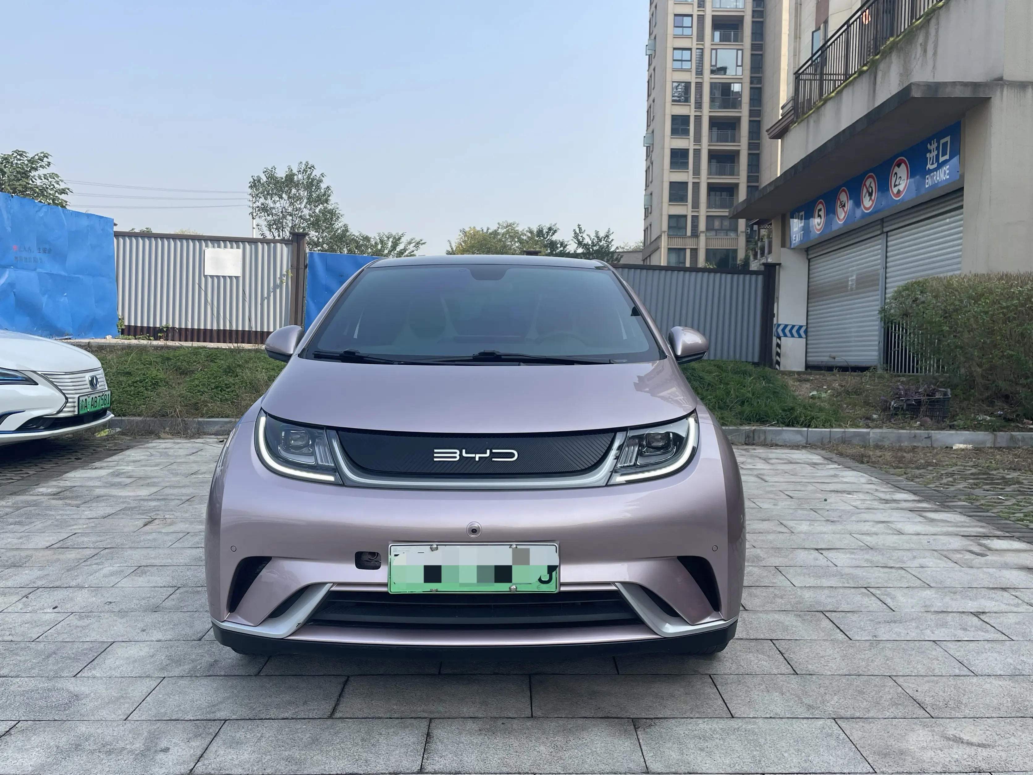 BYD Dolphin  из Китая