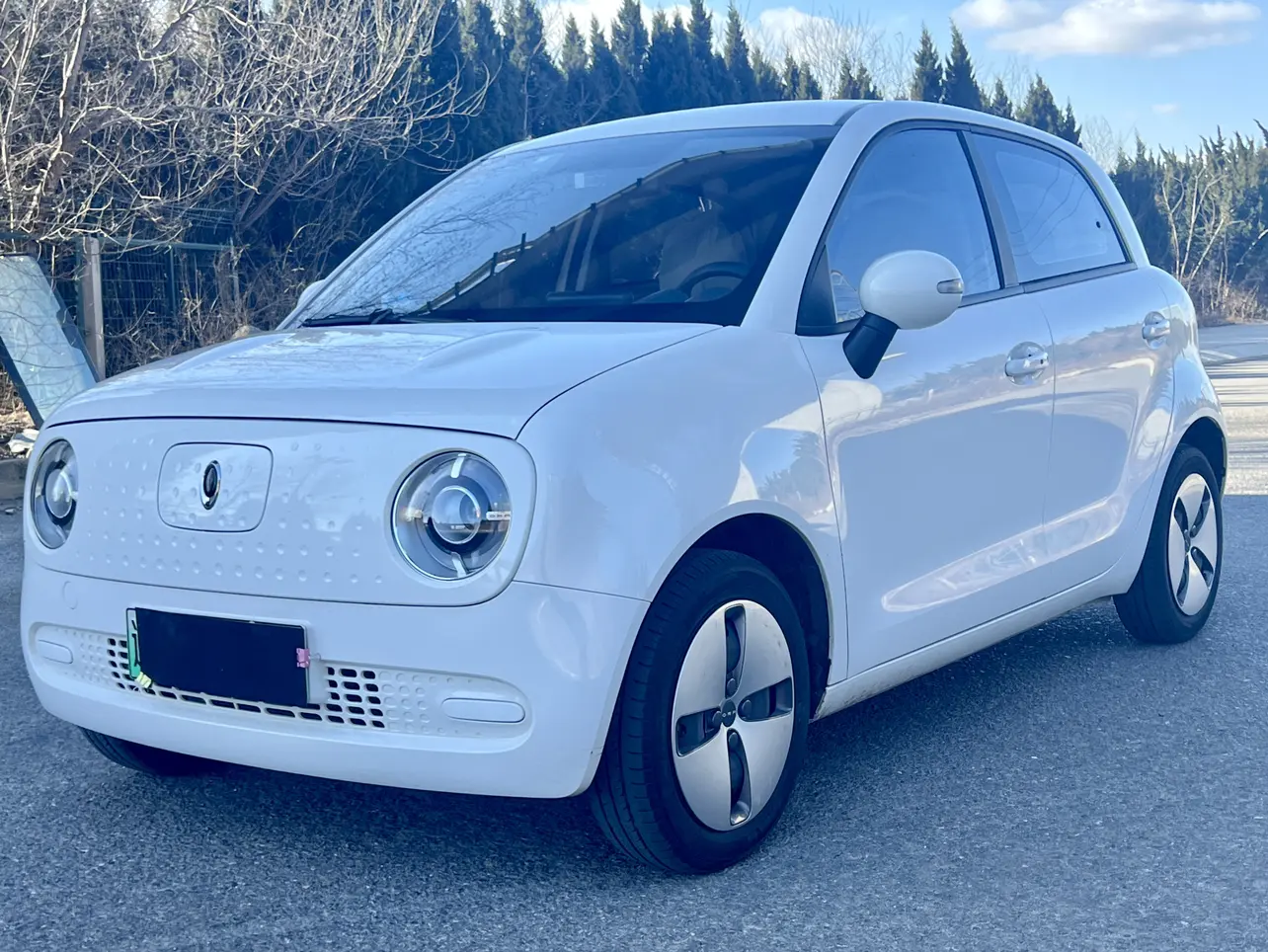 ORA Euler black cat  из Китая