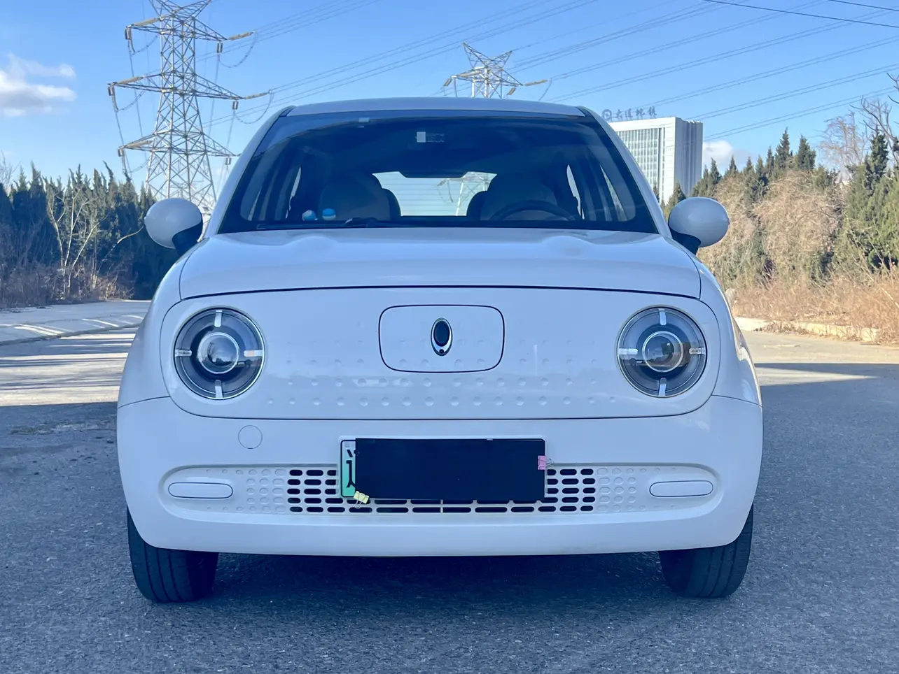 ORA Euler black cat  из Китая