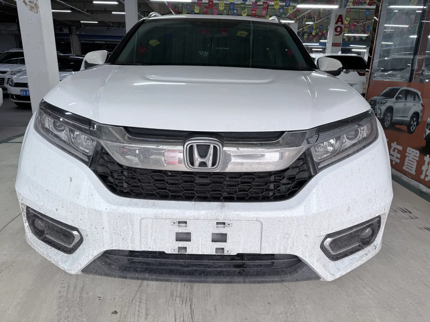 Honda Avancier (Crown Road)  из Китая