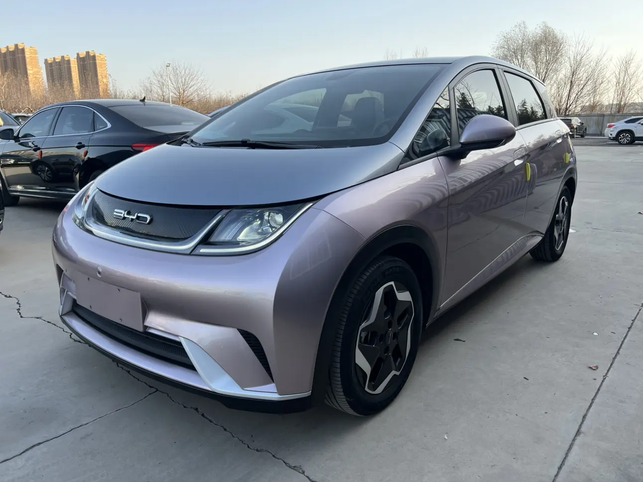 BYD Dolphin  из Китая