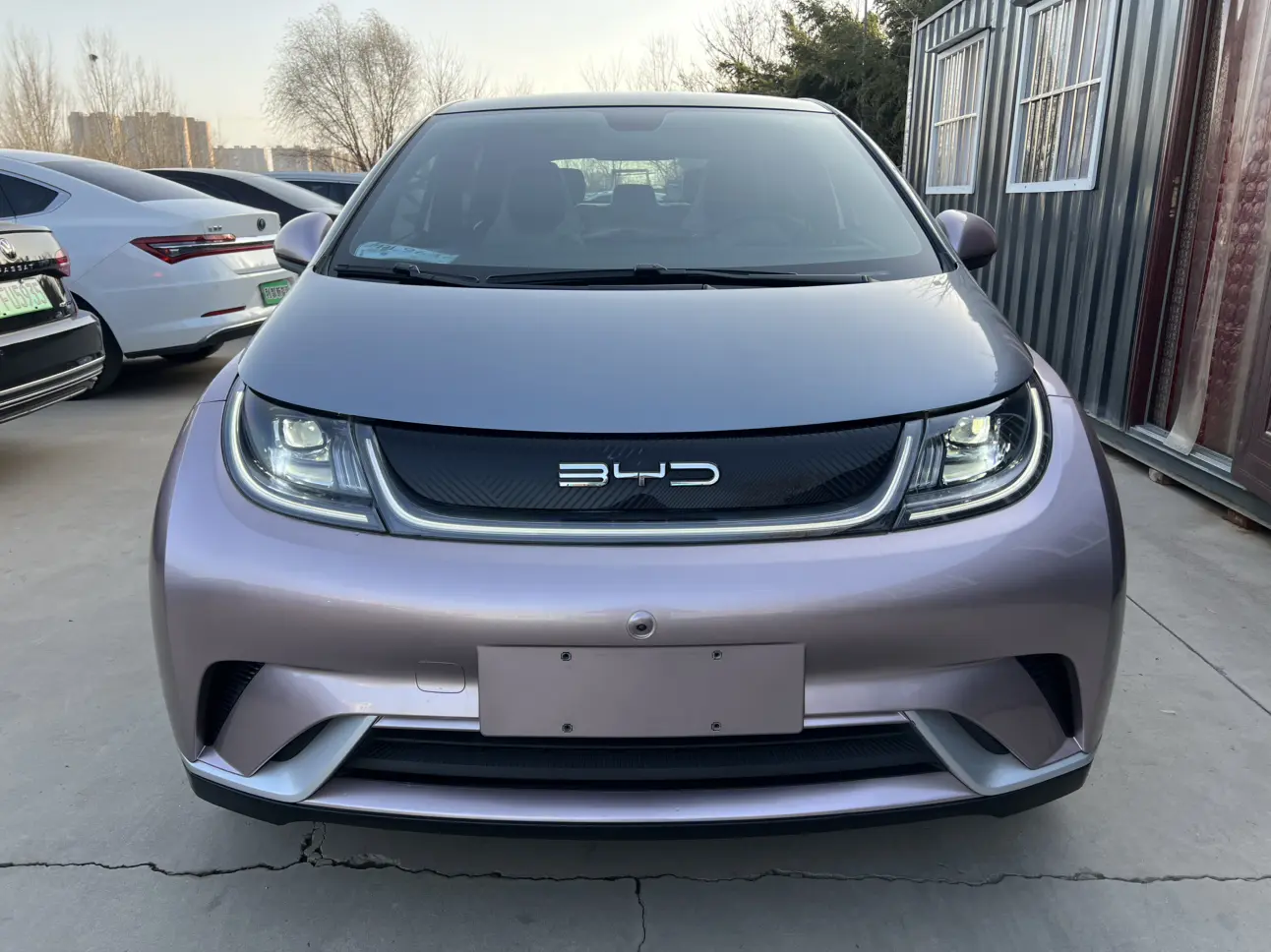 BYD Dolphin  из Китая