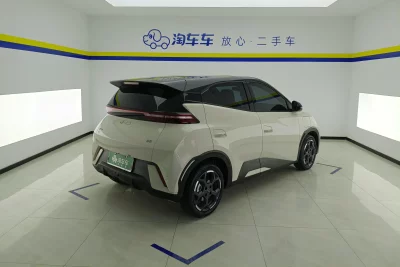 BYD seagull