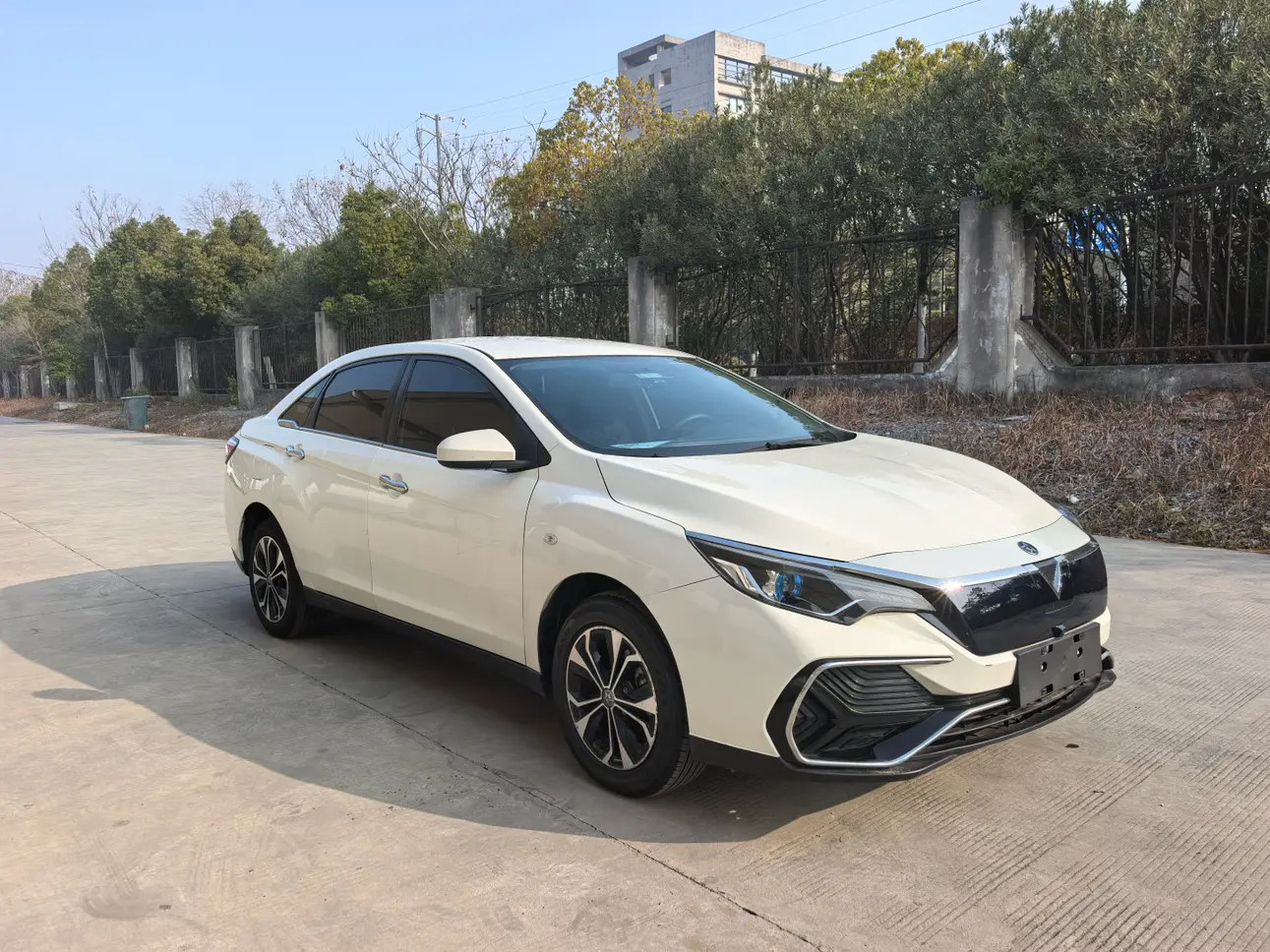 Kai Chen Venucia D60 EV  из Китая