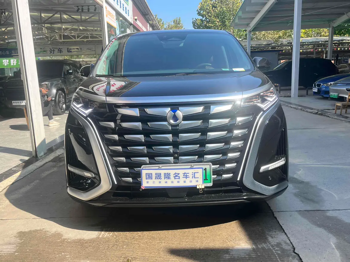 Denza D9 DM  из Китая