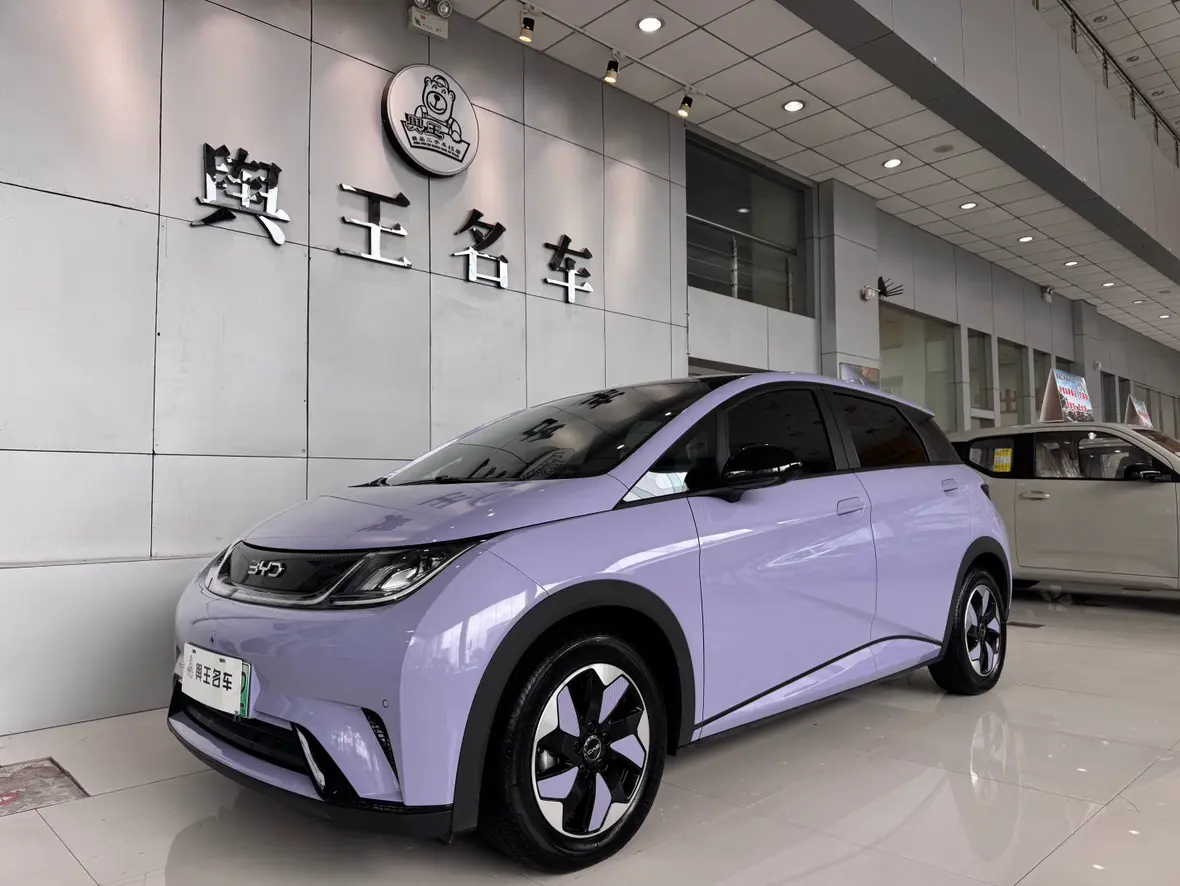 BYD Dolphin  из Китая