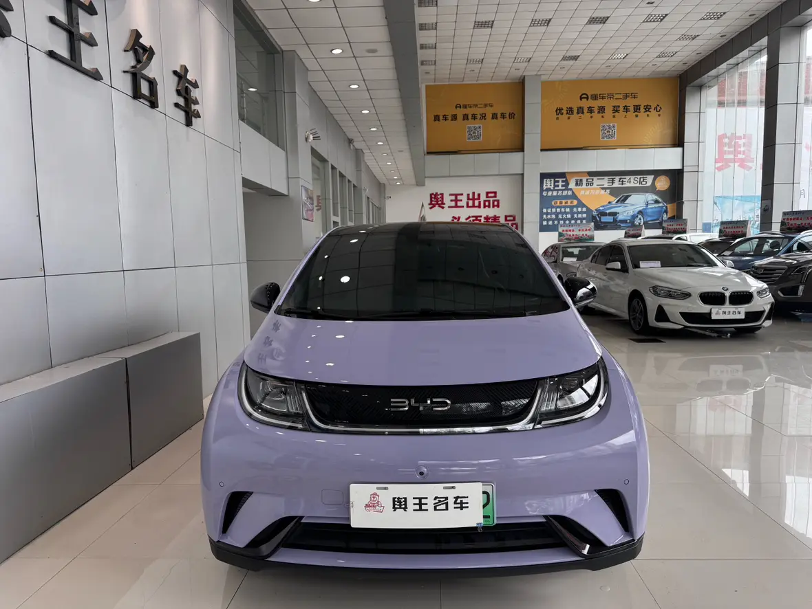 BYD Dolphin  из Китая