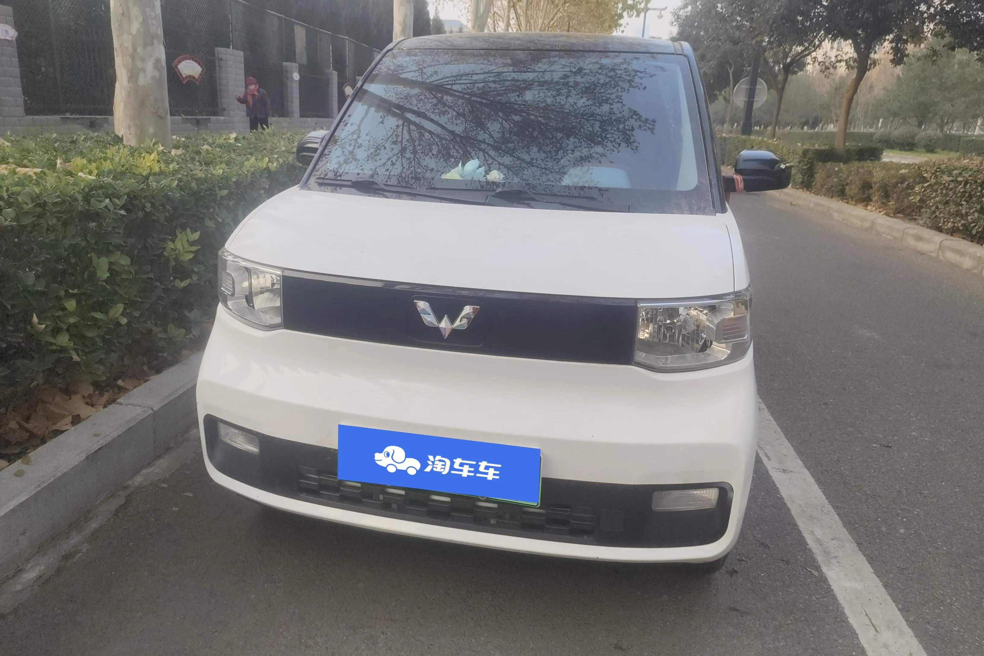 Wuling Hongguang MINIEV  из Китая
