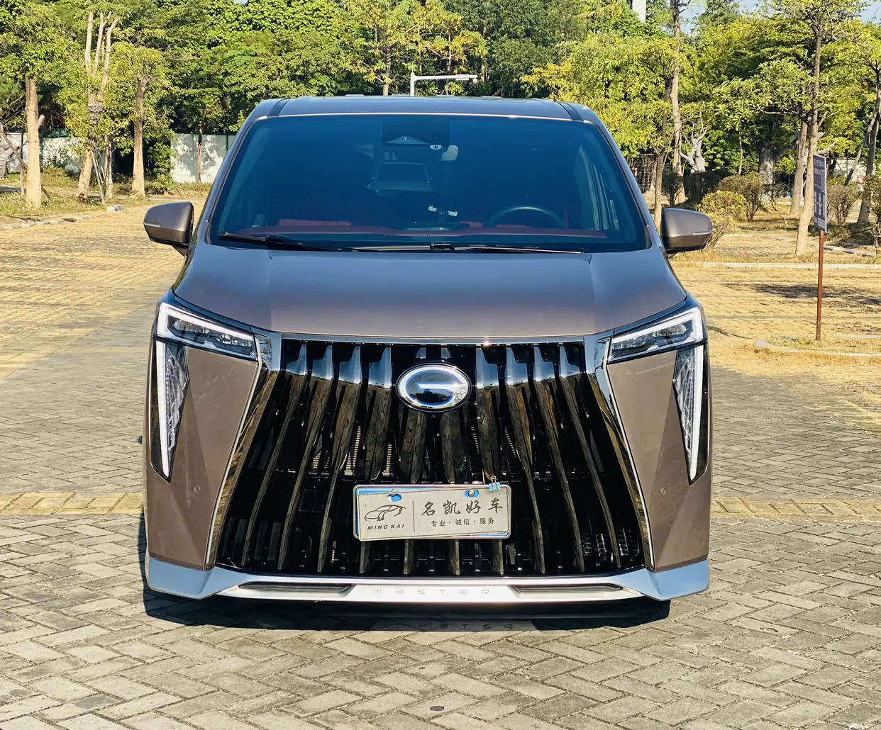 GAC Trumpchi M8  из Китая