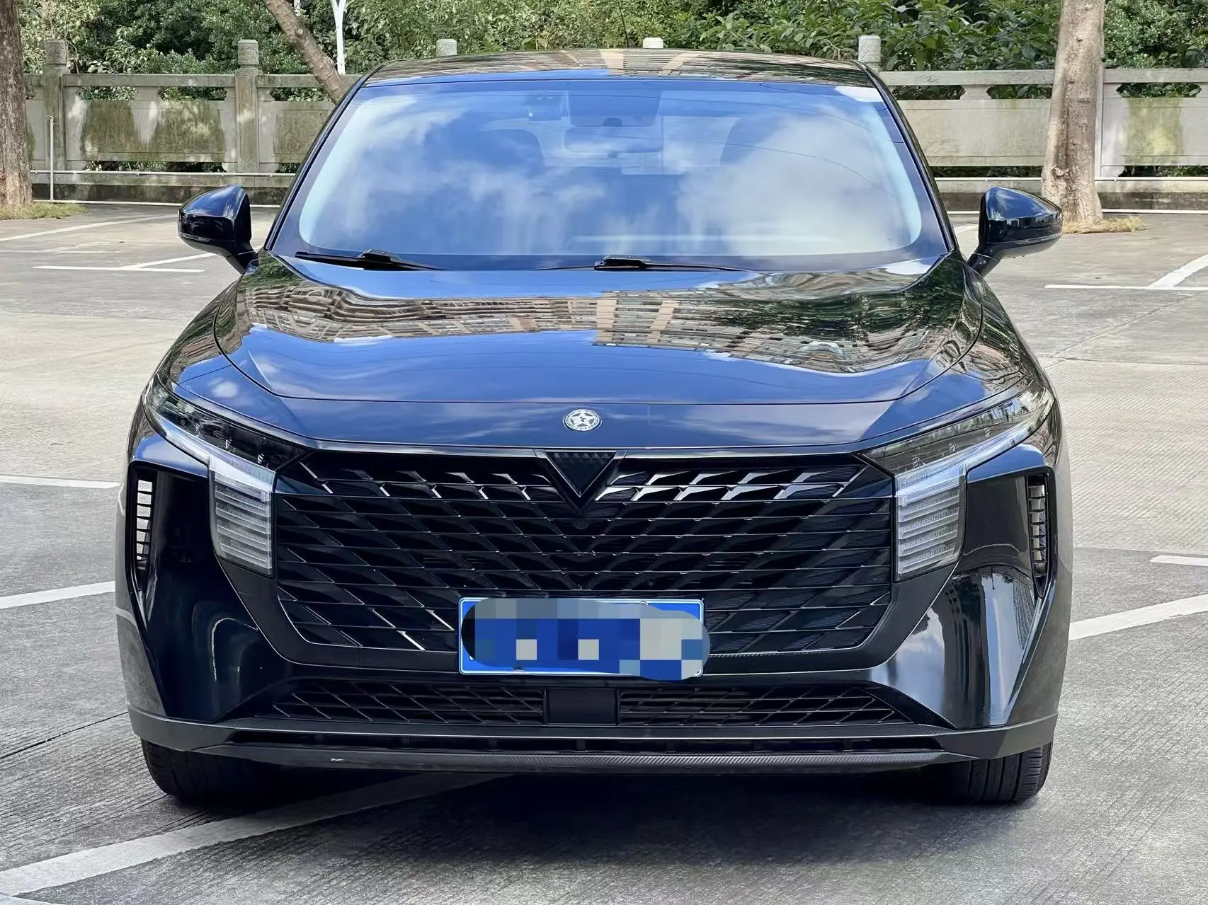 Kai Chen Venucia Big V  из Китая