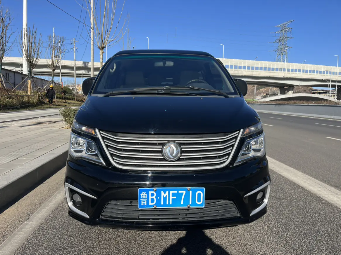 Forthing Lingzhi  из Китая