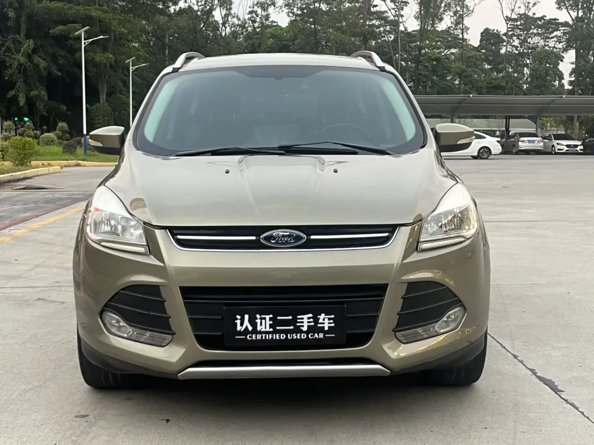 Ford Wing tiger  из Китая