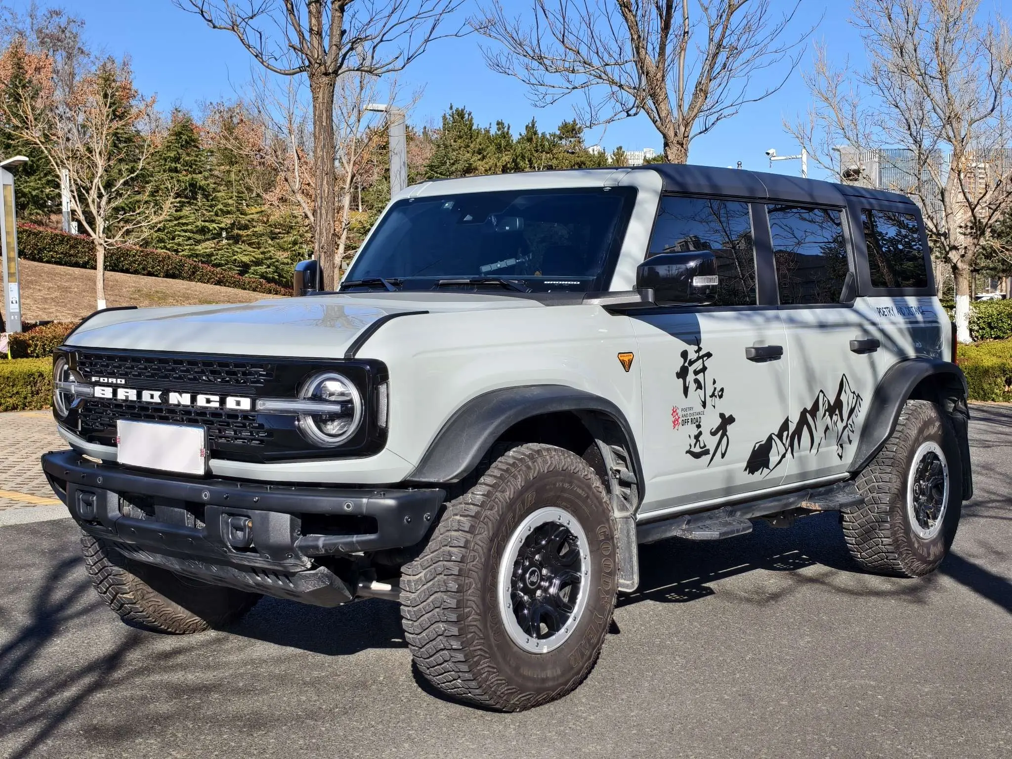 Ford rama  из Китая