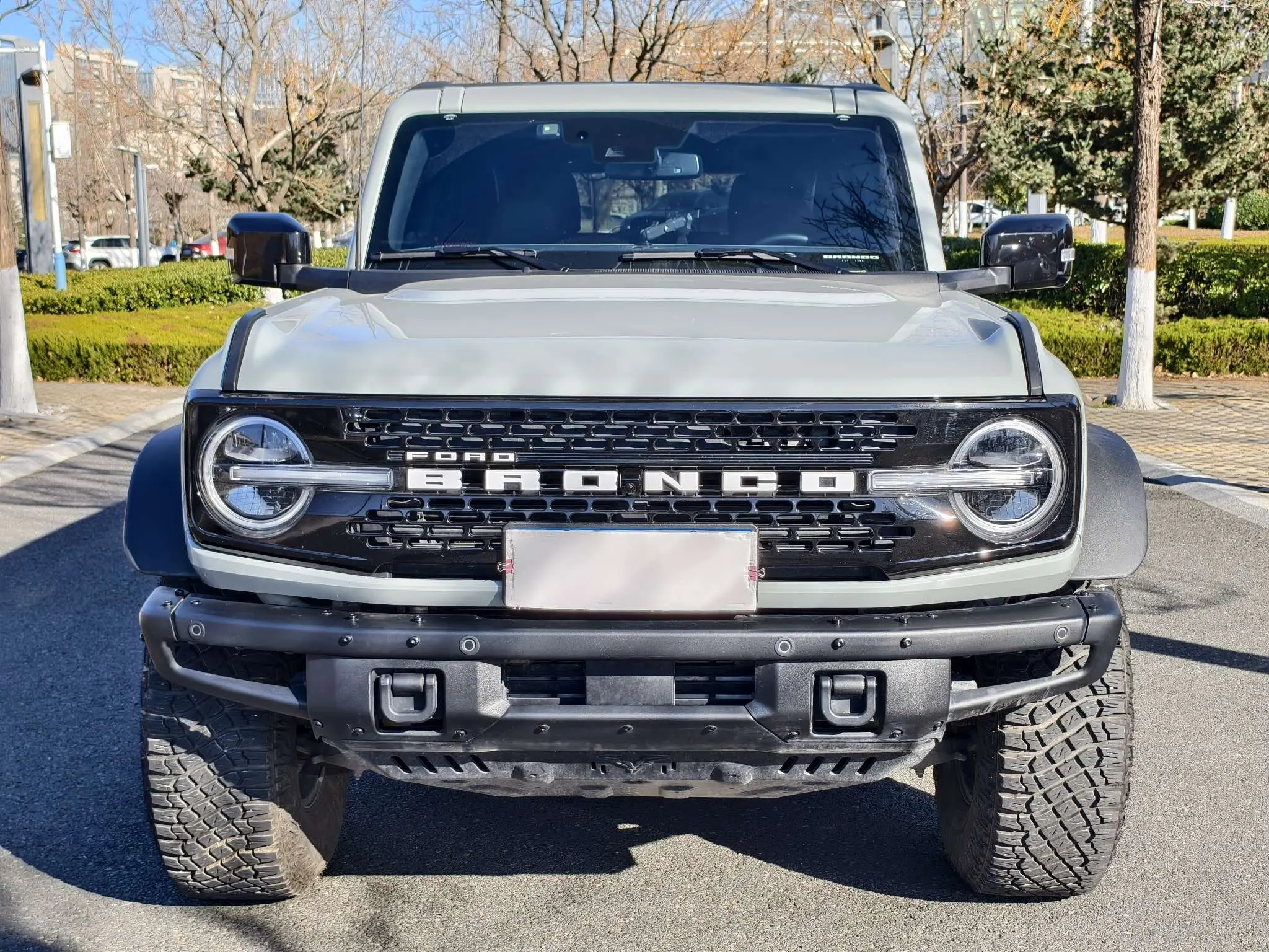 Ford rama  из Китая