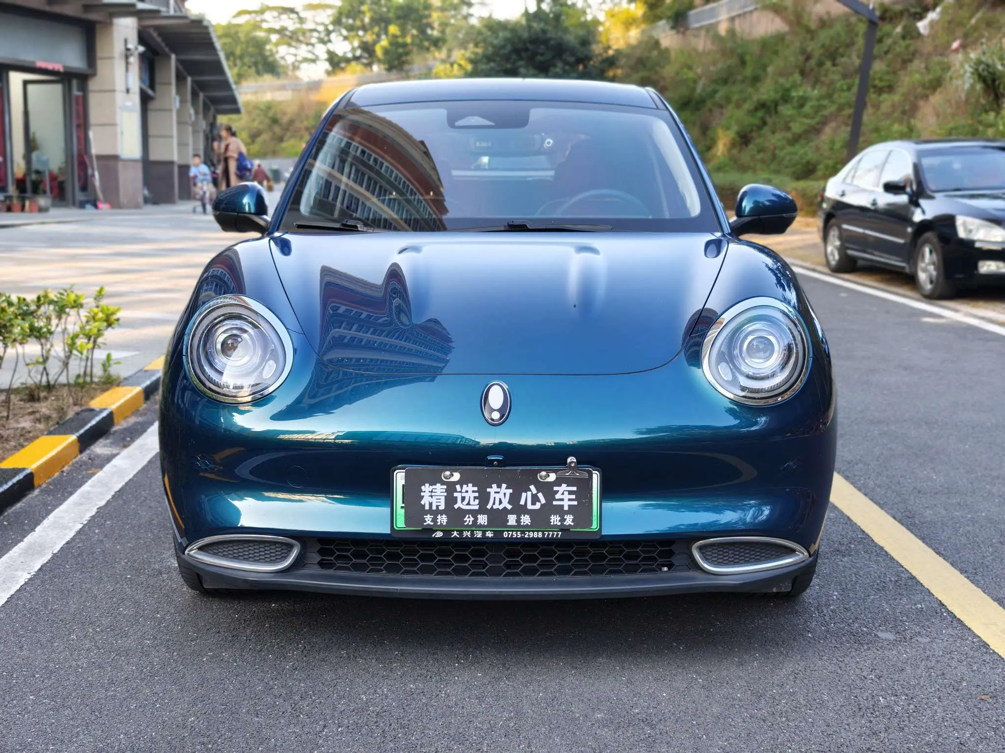 ORA Euler good cat  из Китая