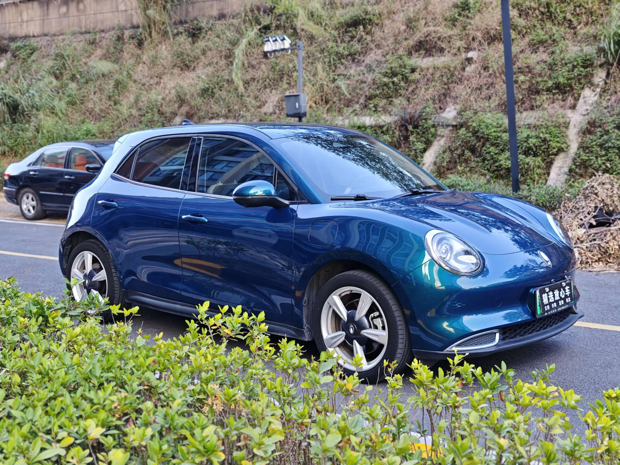 ORA Euler good cat  из Китая