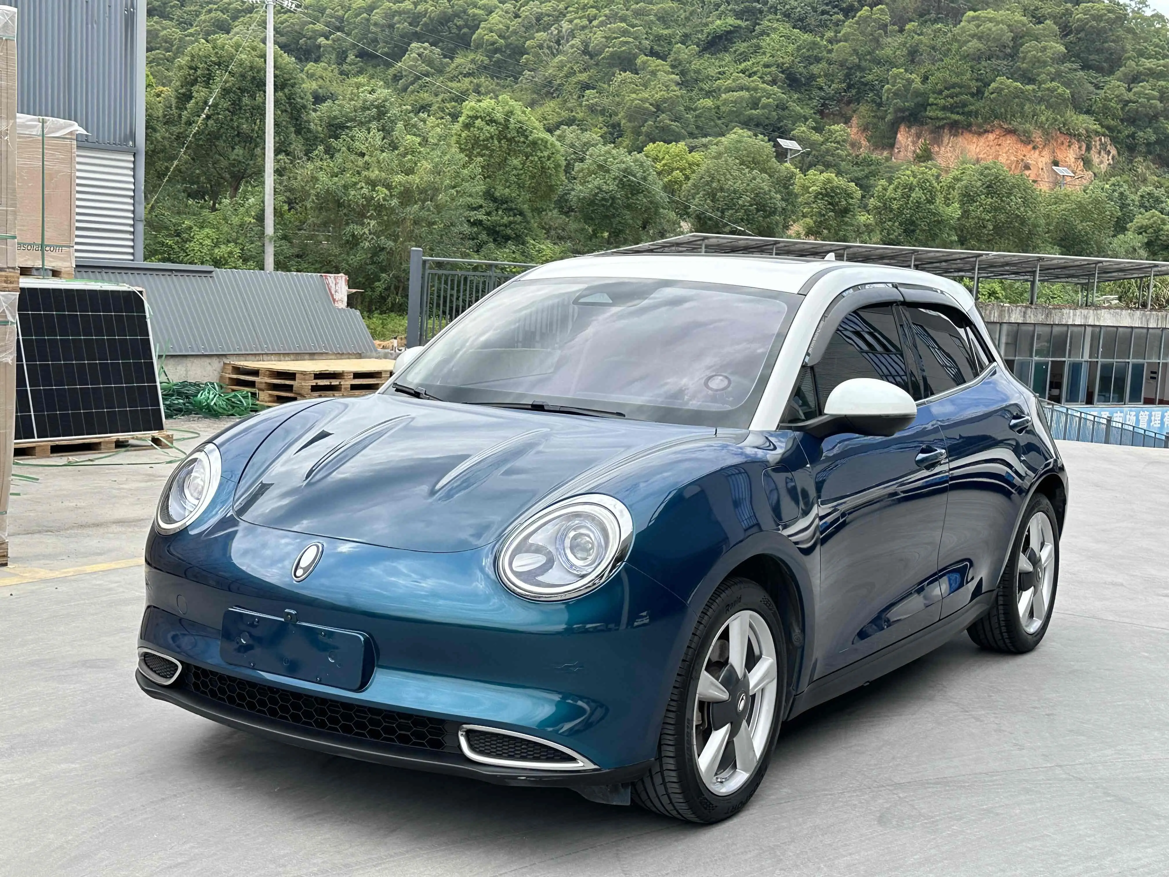 ORA Euler good cat  из Китая