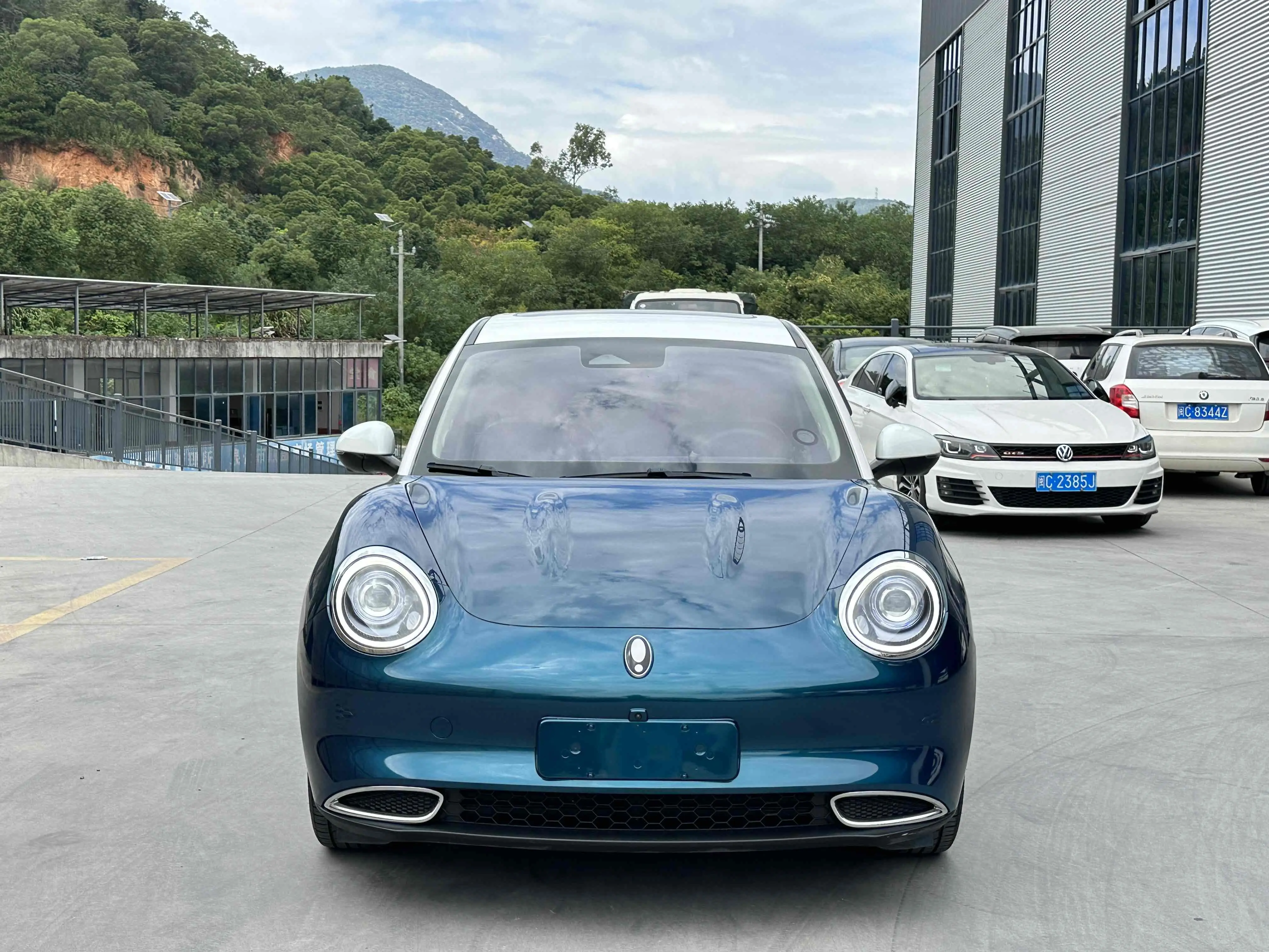 ORA Euler good cat  из Китая