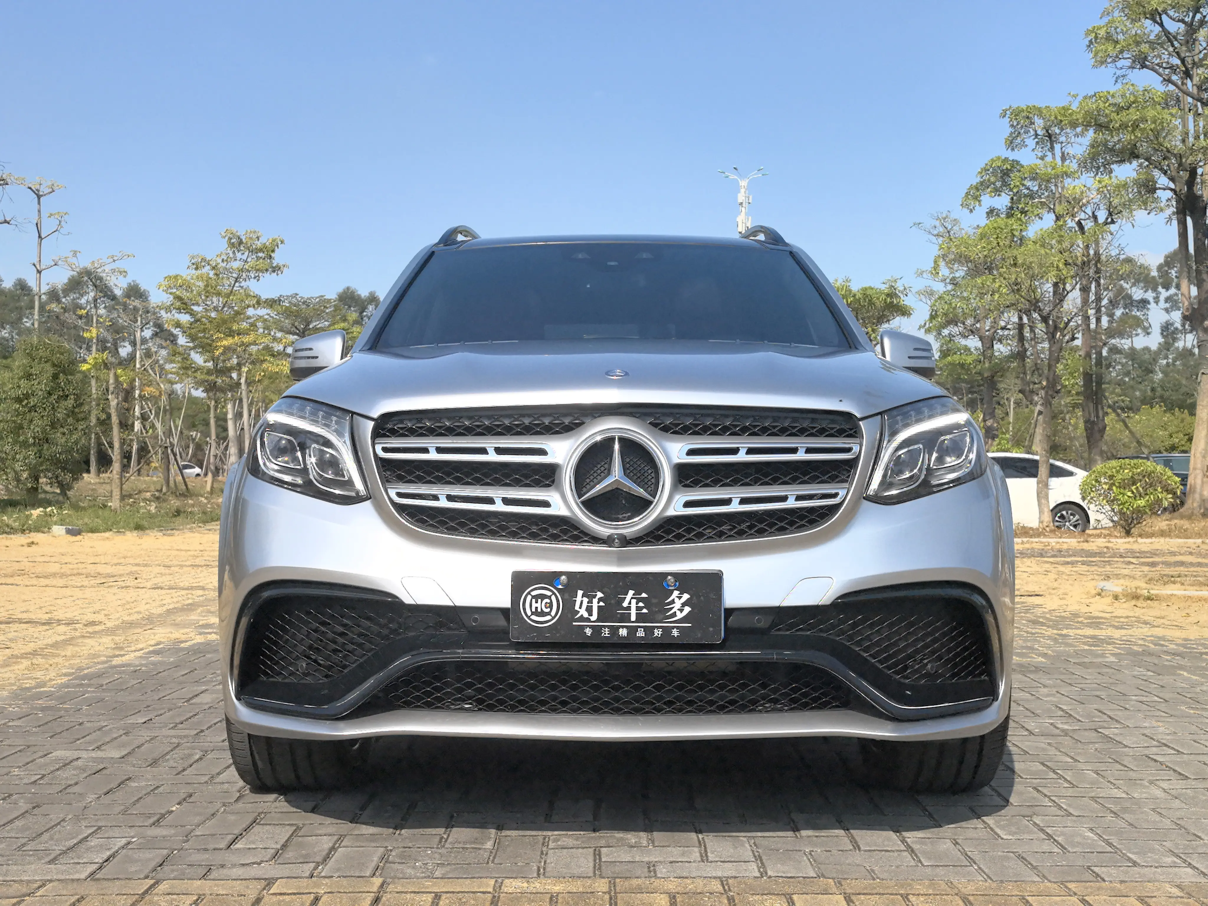 Mercedes-Benz Mercedes Benz GLS  из Китая