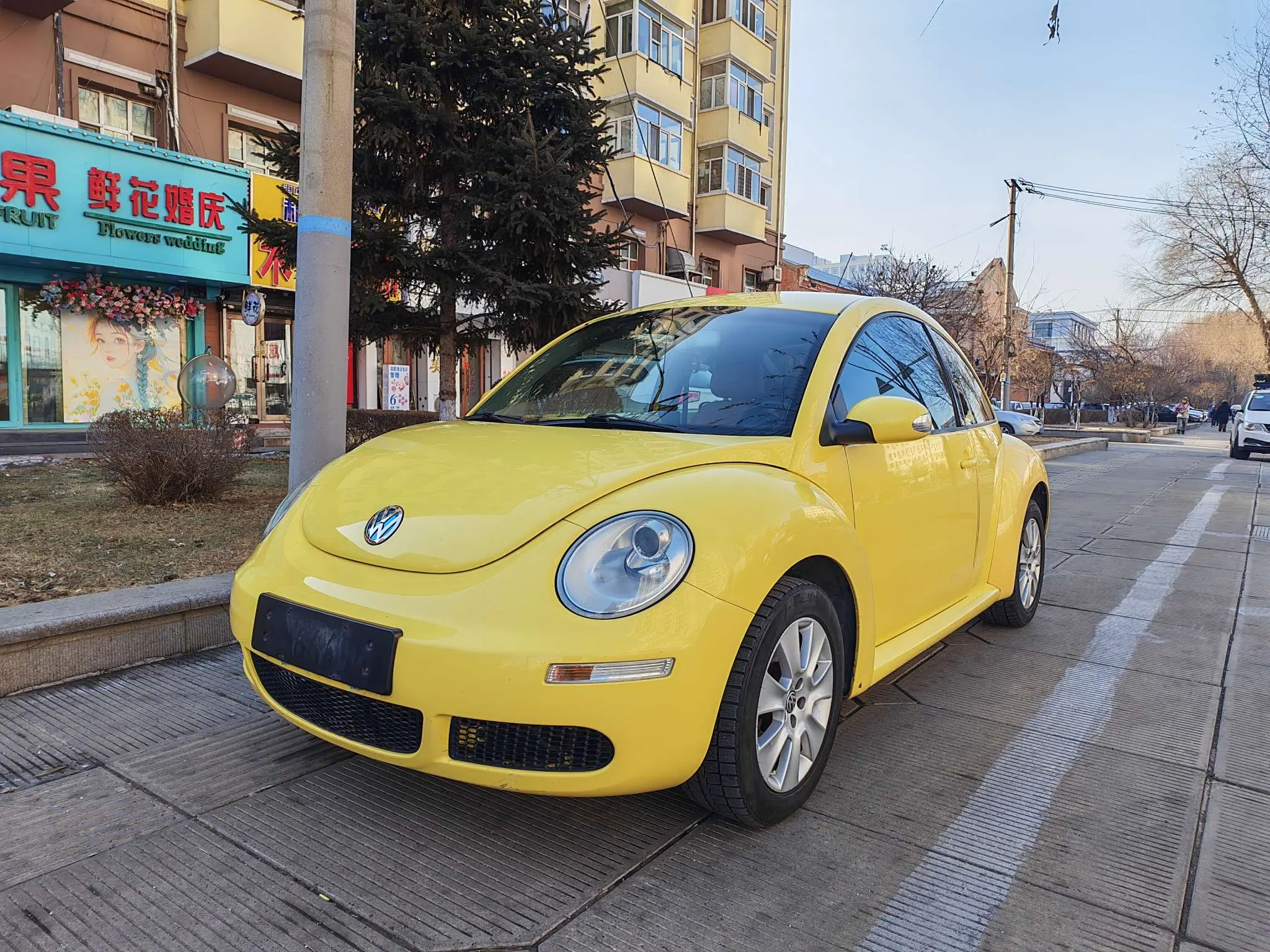Volkswagen Beetle  из Китая