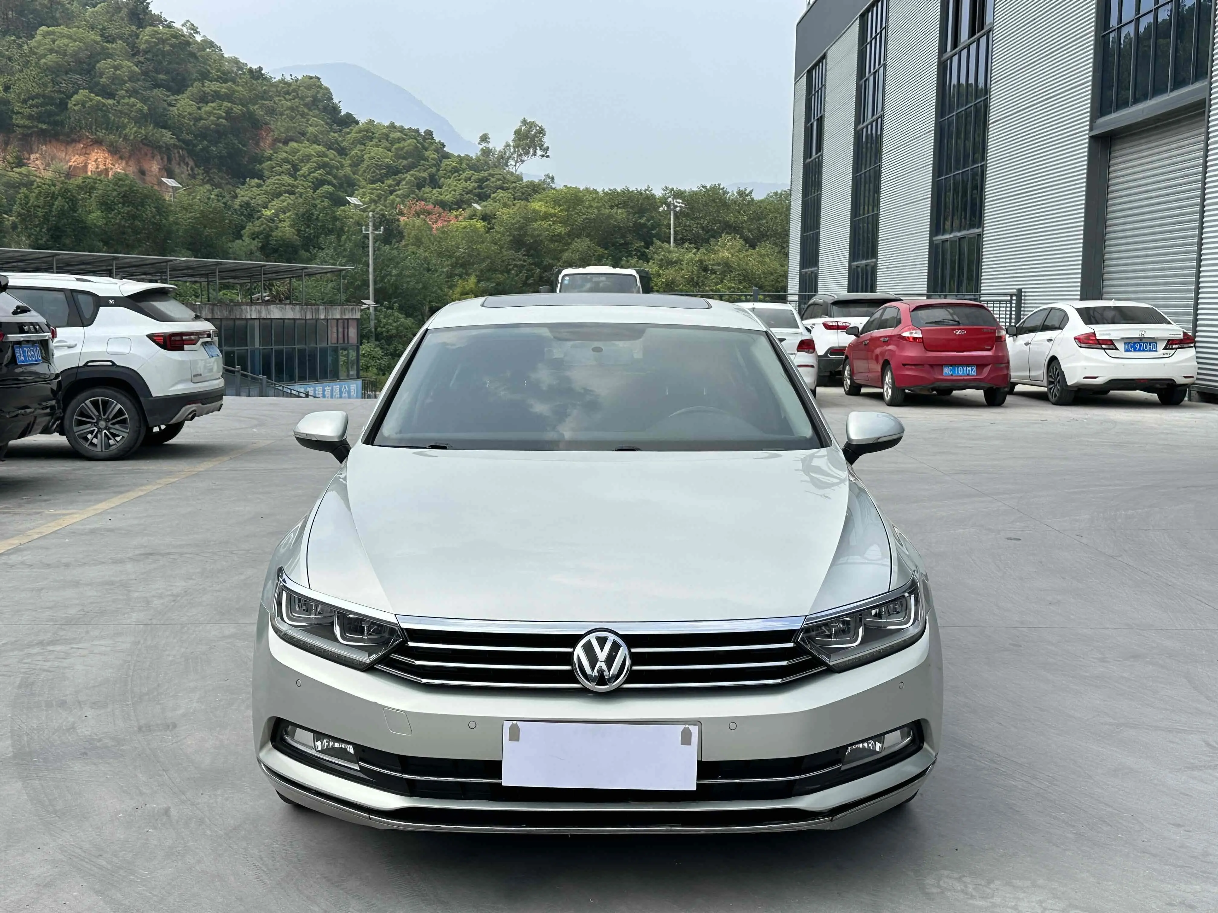 Volkswagen Magotan  из Китая