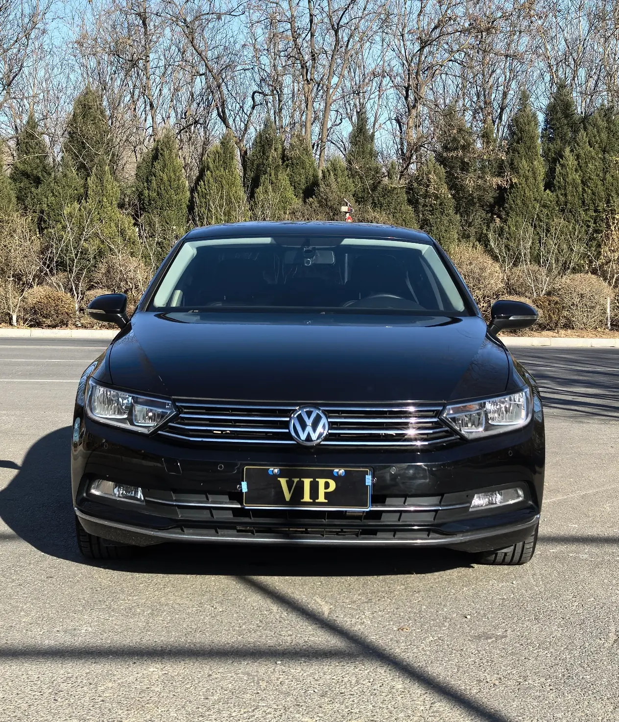 Volkswagen Magotan  из Китая