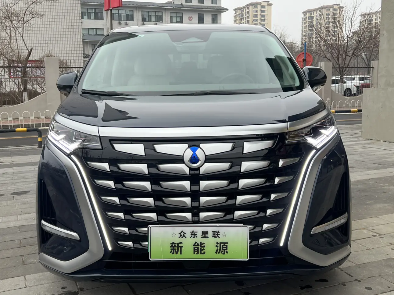 Denza D9 DM  из Китая