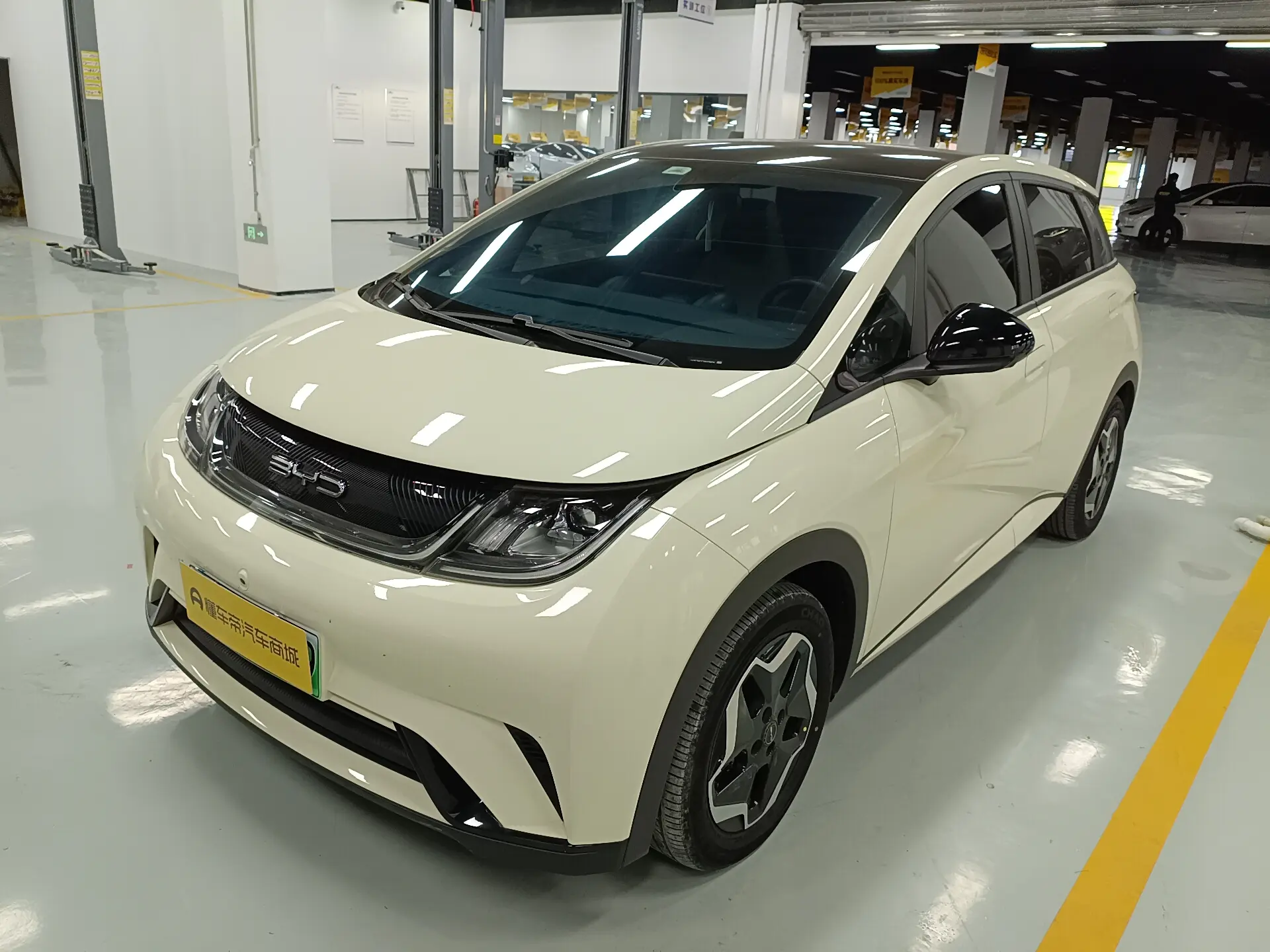 BYD Dolphin  из Китая