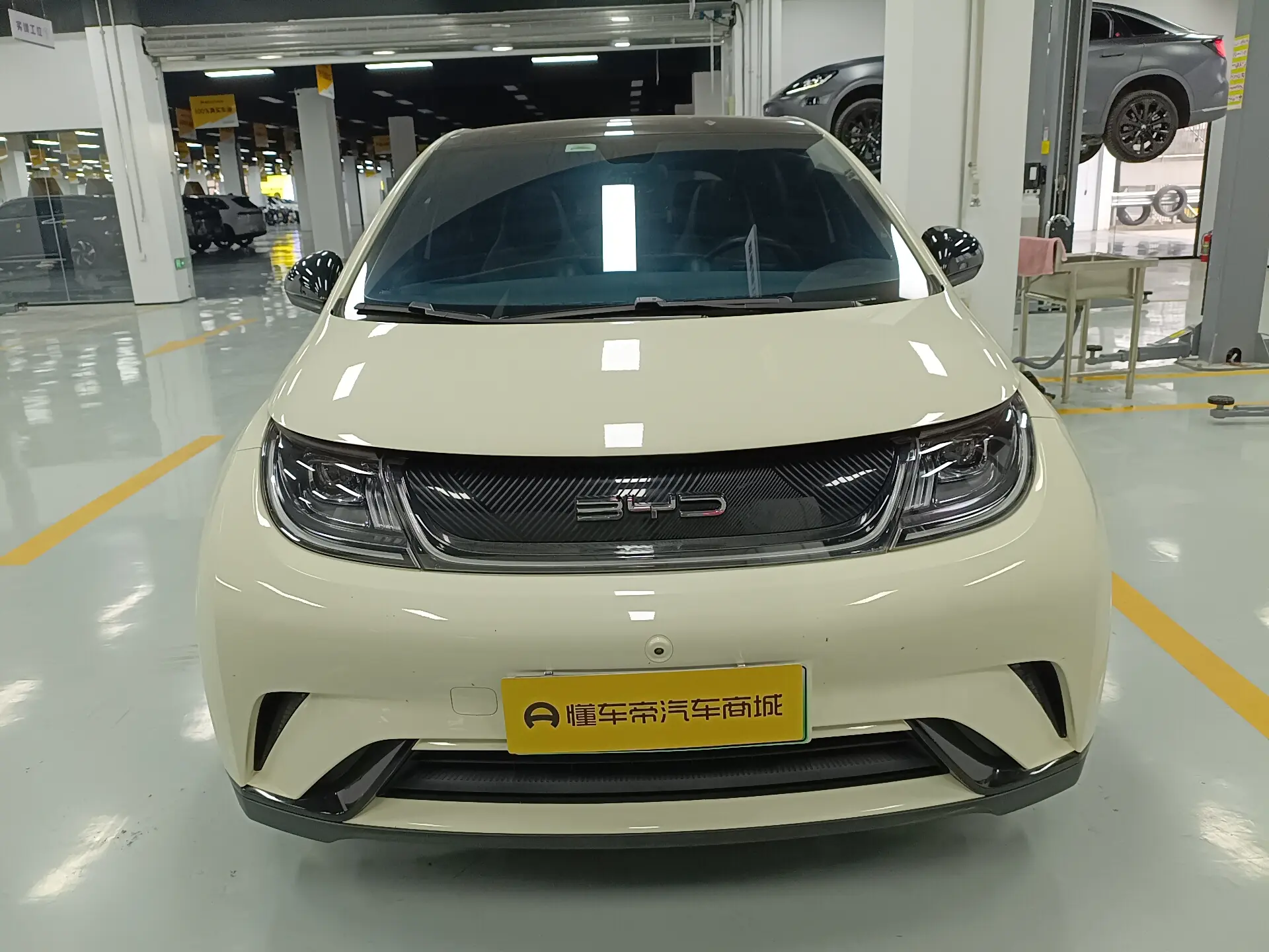 BYD Dolphin  из Китая