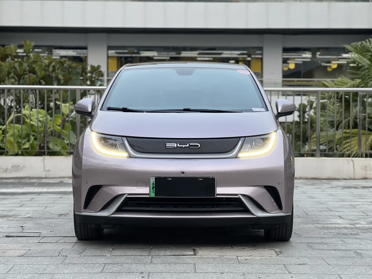 BYD Dolphin  из Китая