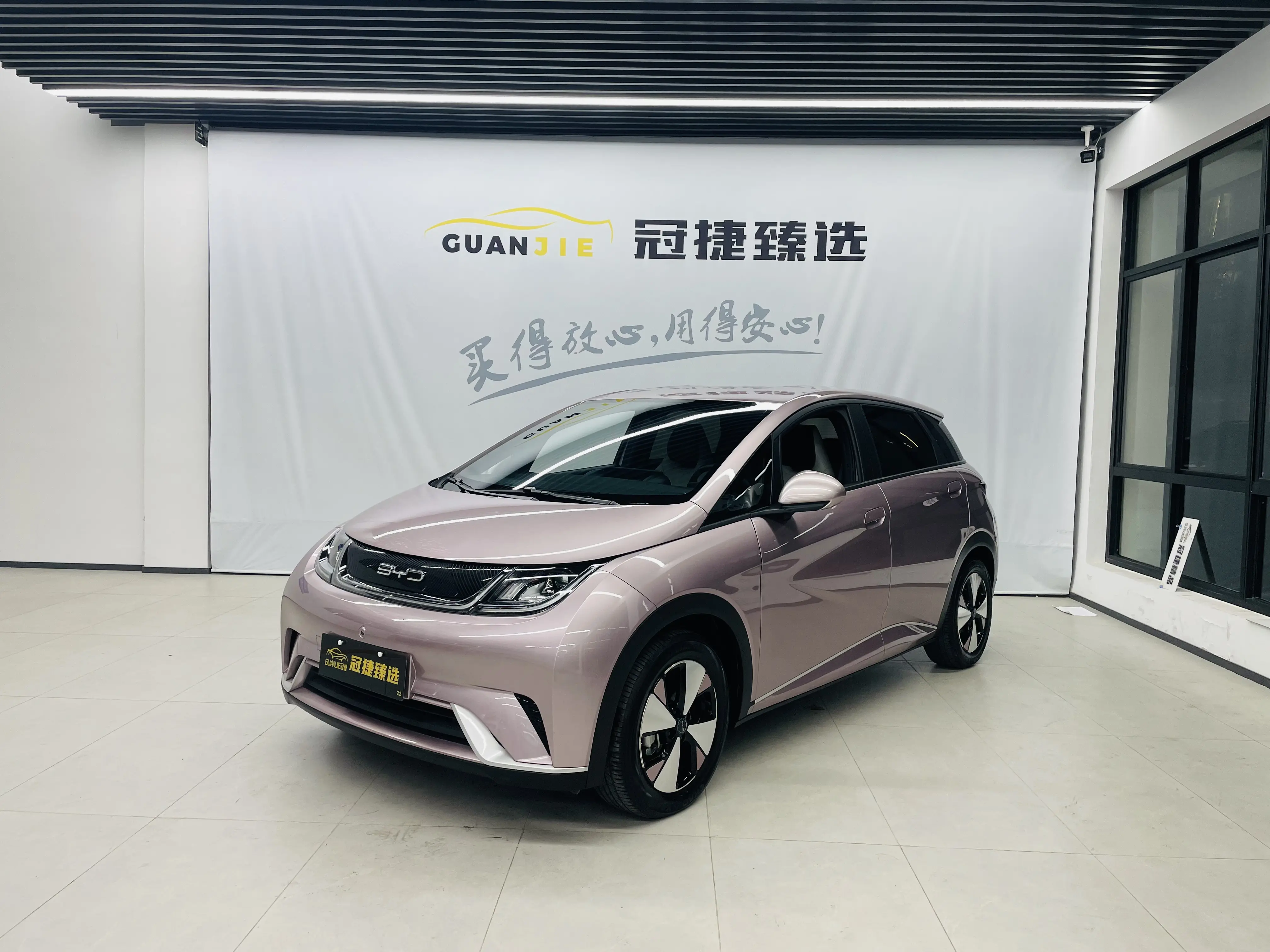 BYD Dolphin  из Китая