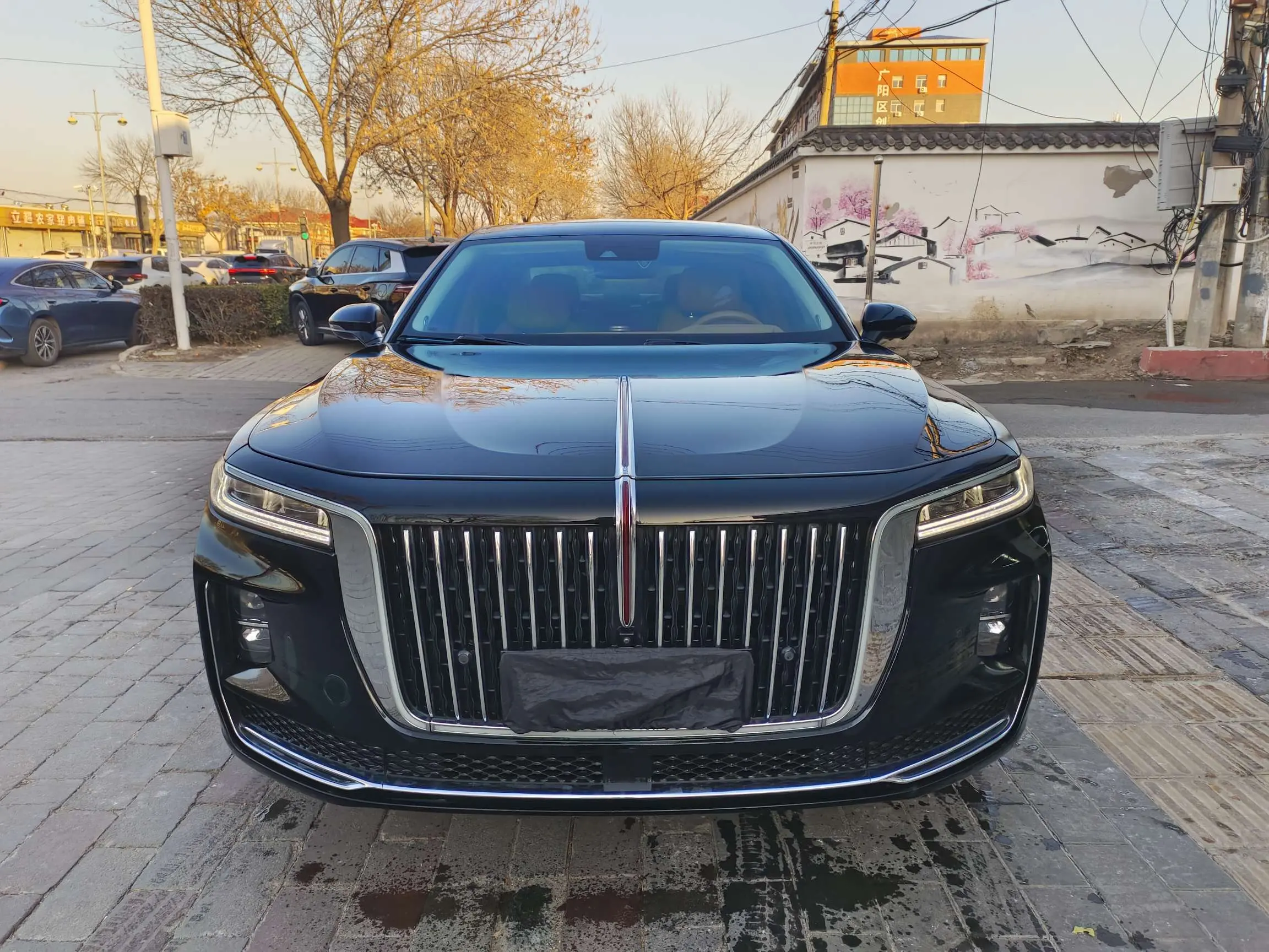 Hongqi H9  из Китая