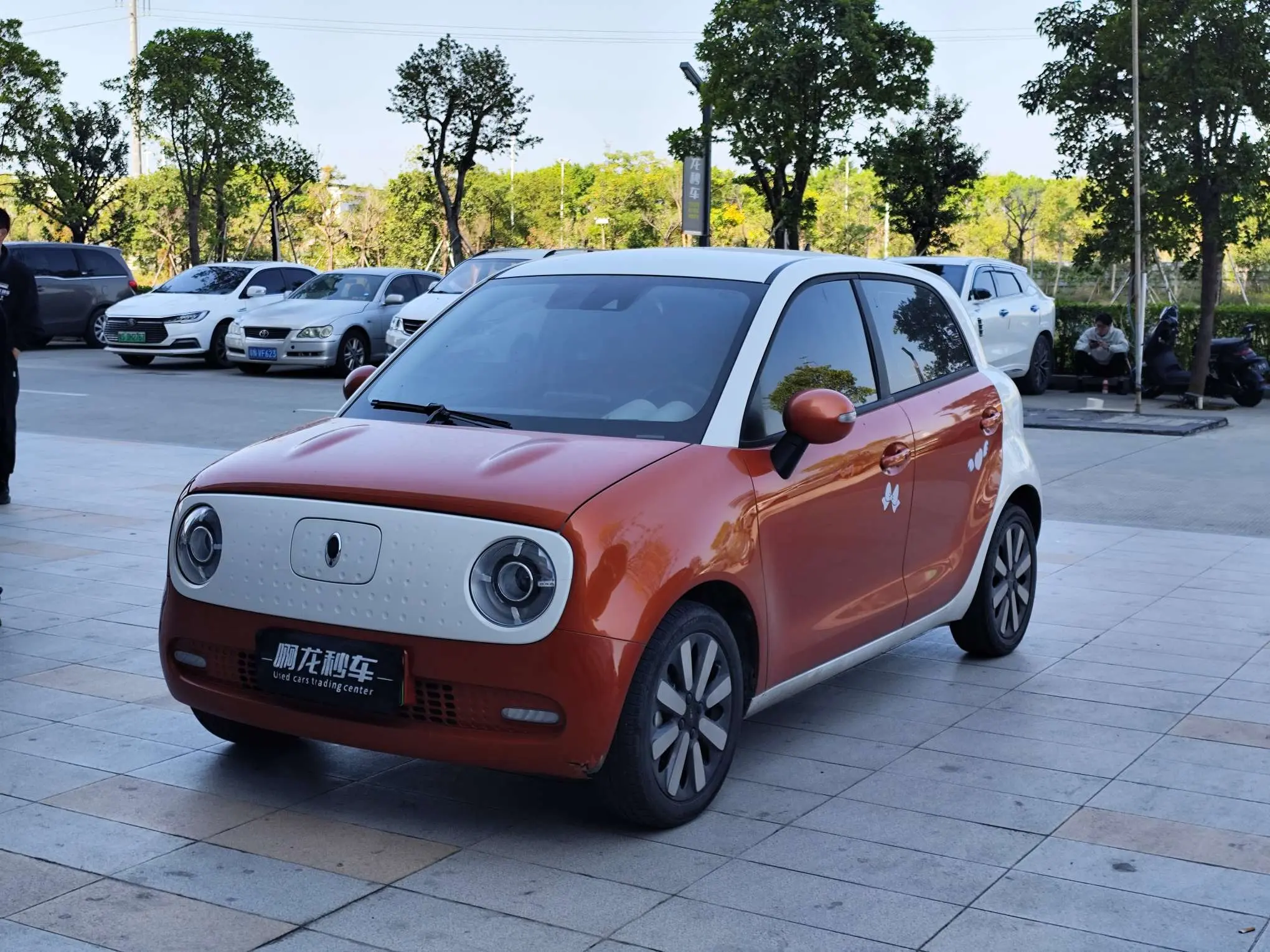 ORA Euler black cat  из Китая