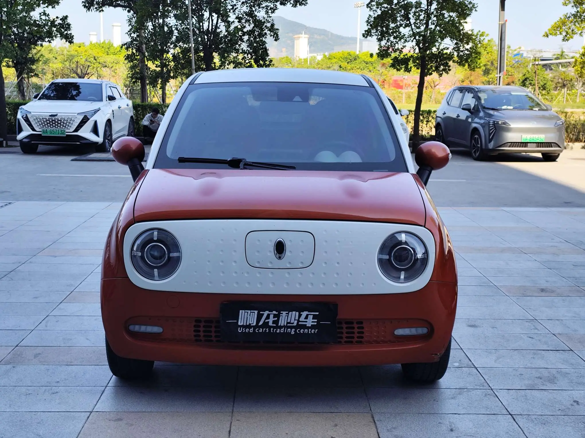 ORA Euler black cat  из Китая