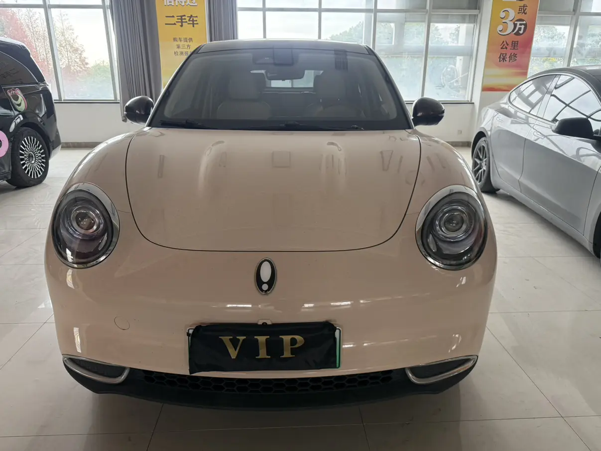 ORA Euler good cat  из Китая