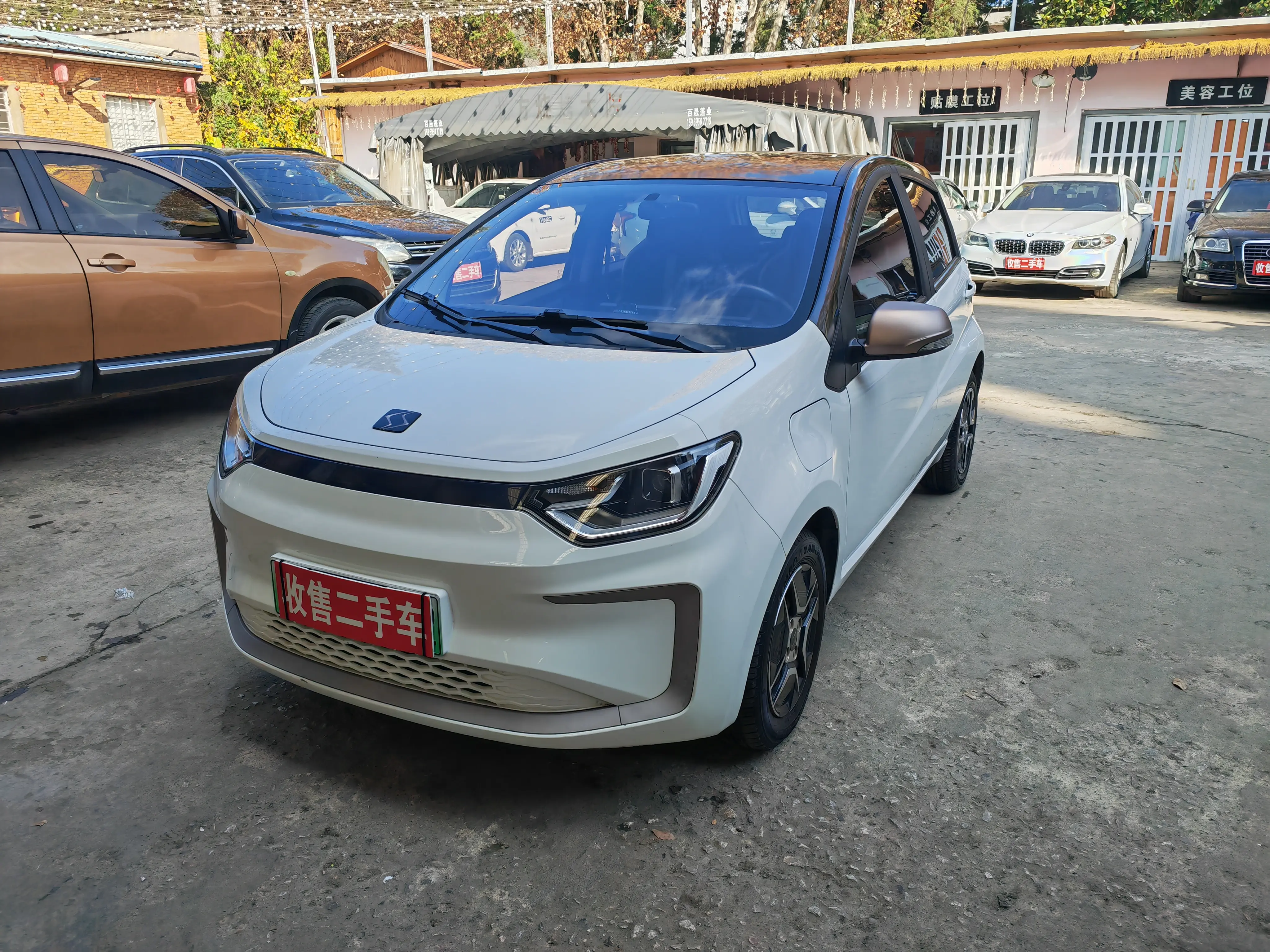 JAC (Sihao) Sihao Flower Fairy  из Китая