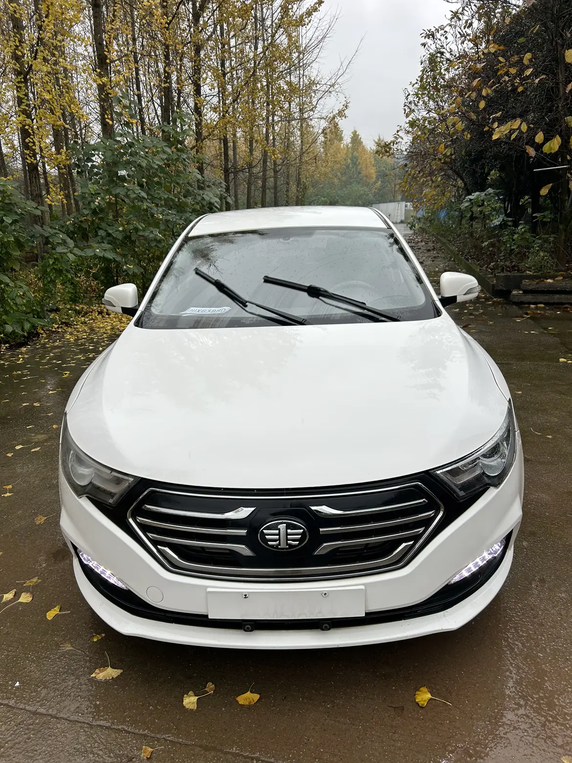 FAW Bestune B30 EV (Besturn B30 EV)  из Китая