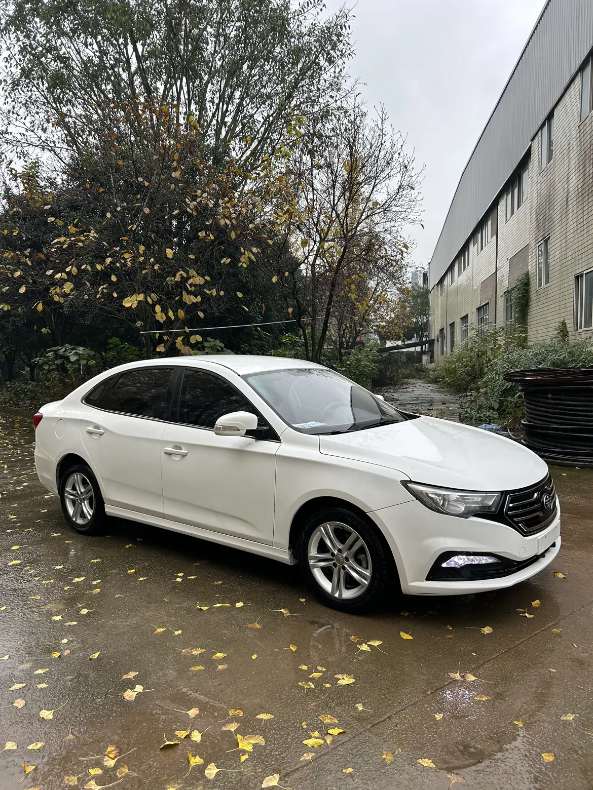 FAW Bestune B30 EV (Besturn B30 EV)  из Китая