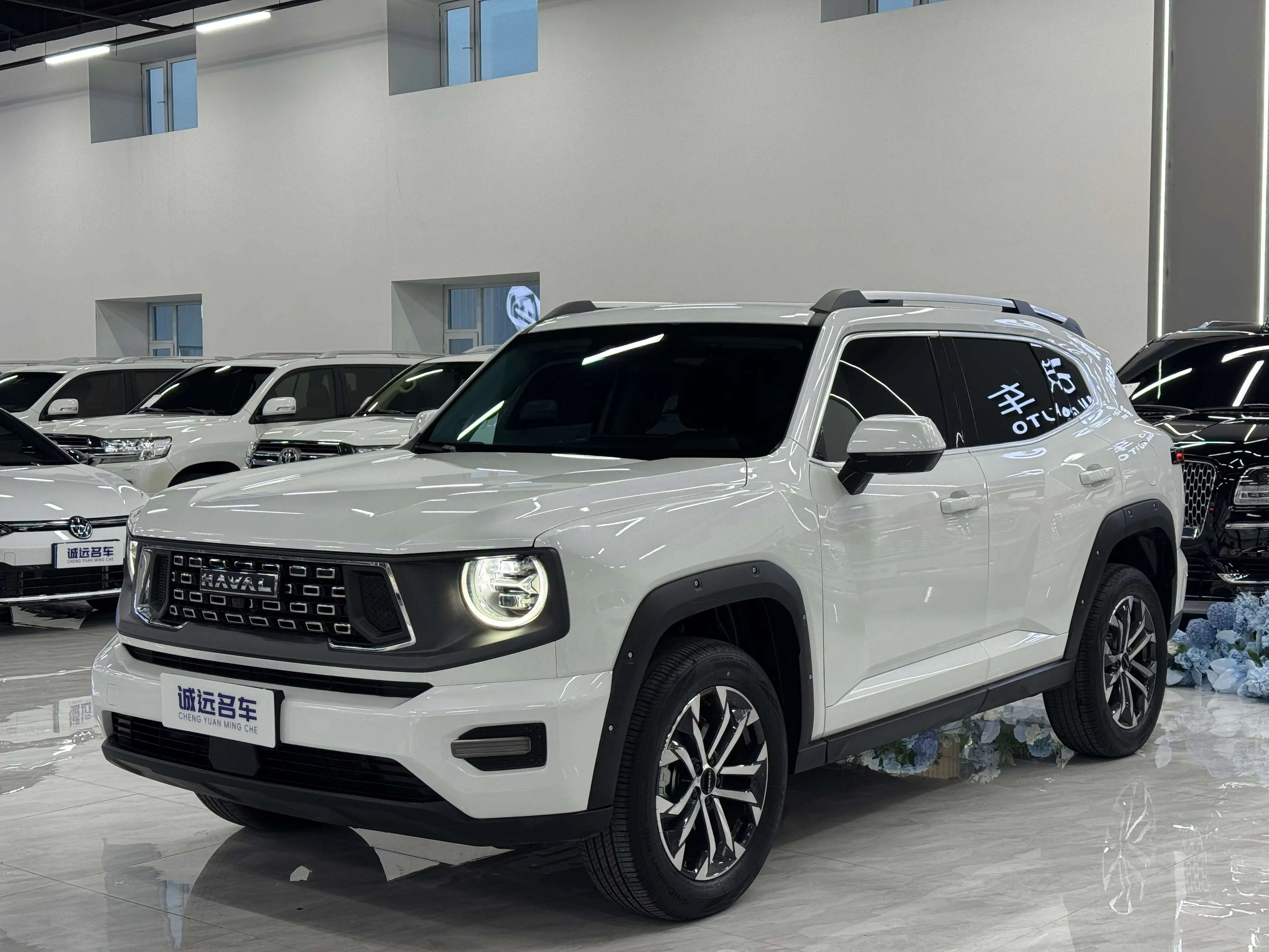 Haval Big Dog PLUS