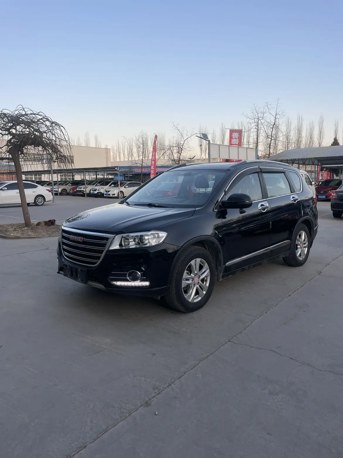 Haval H6  из Китая