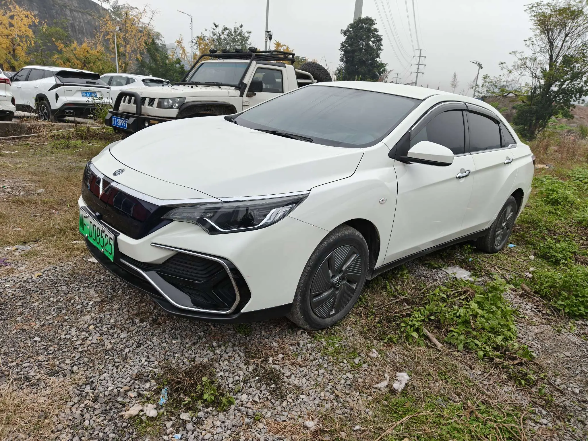 Kai Chen Venucia D60 EV  из Китая