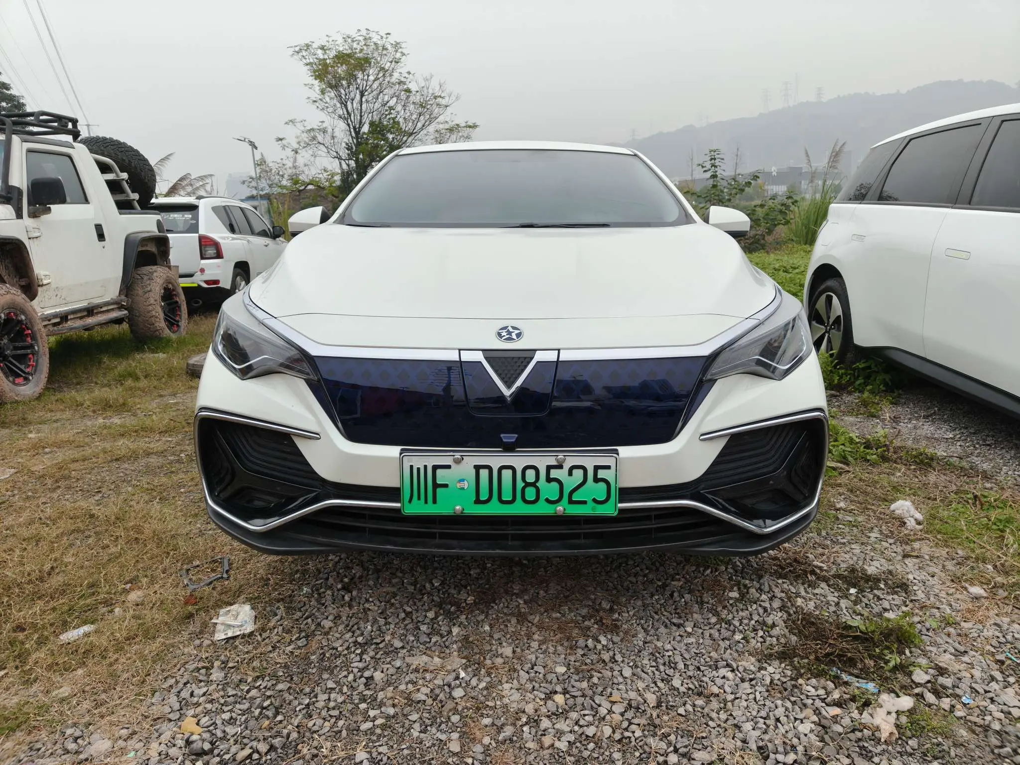 Kai Chen Venucia D60 EV  из Китая