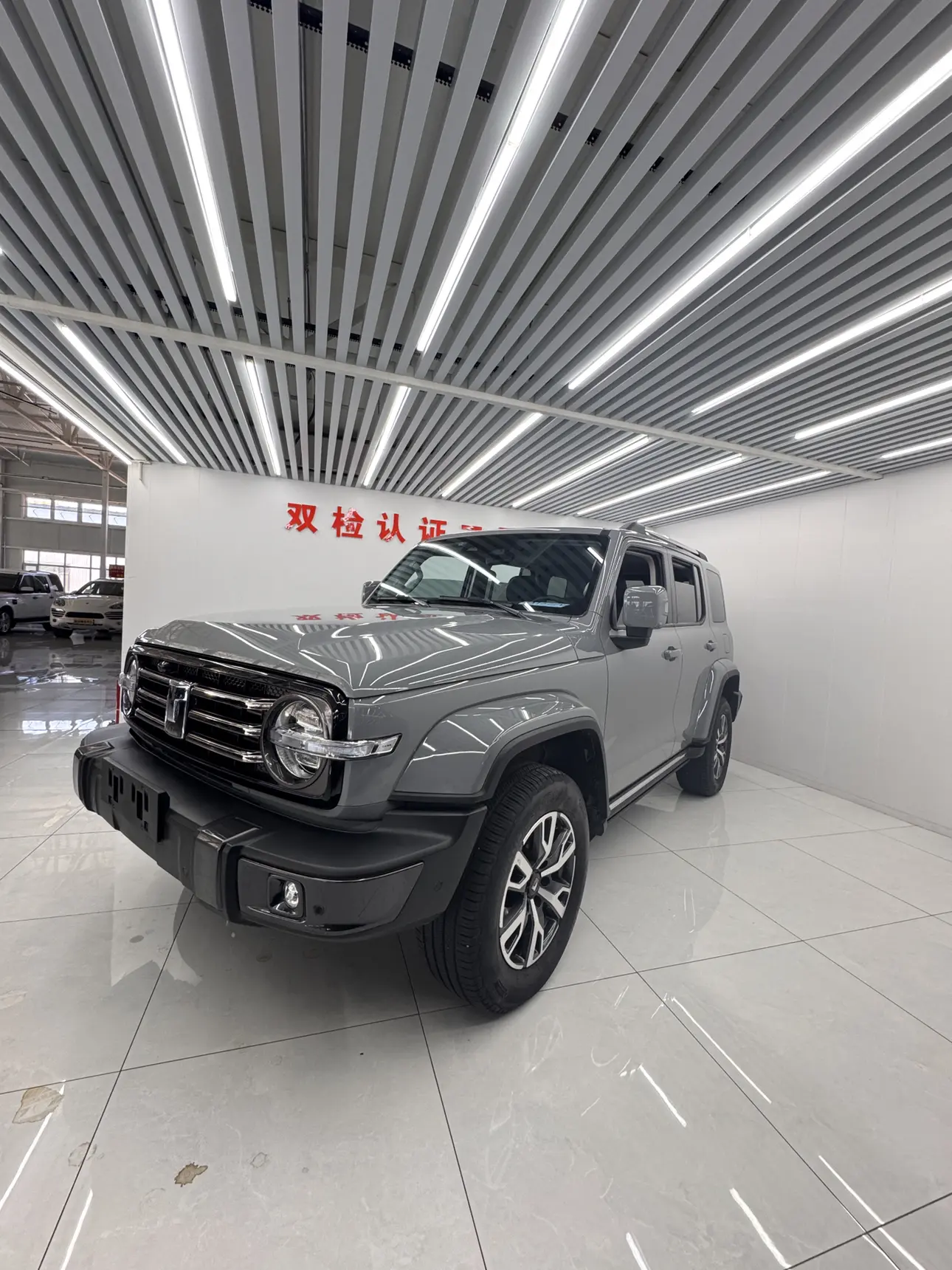 Tank 300  из Китая