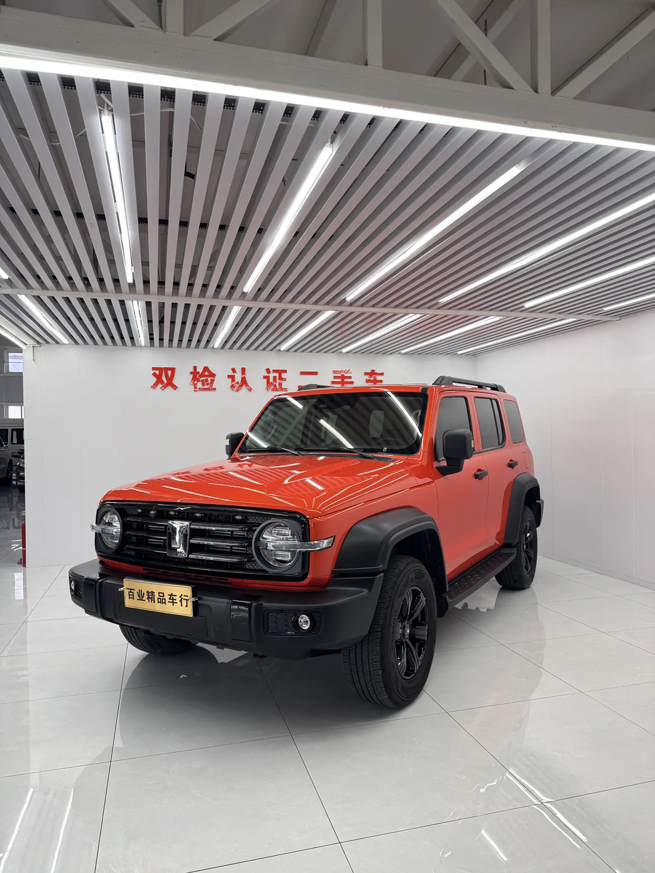 Tank 300  из Китая