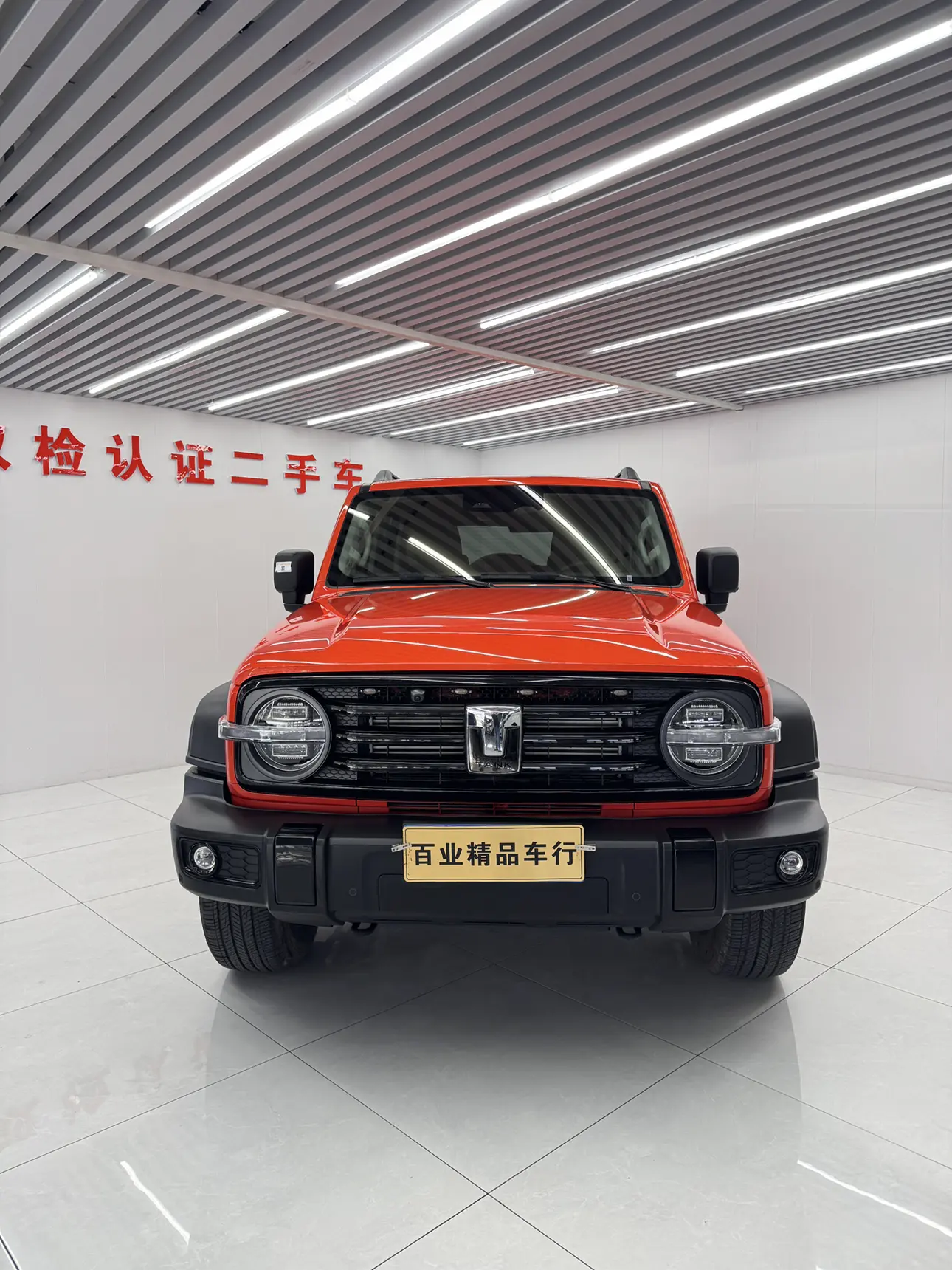 Tank 300  из Китая