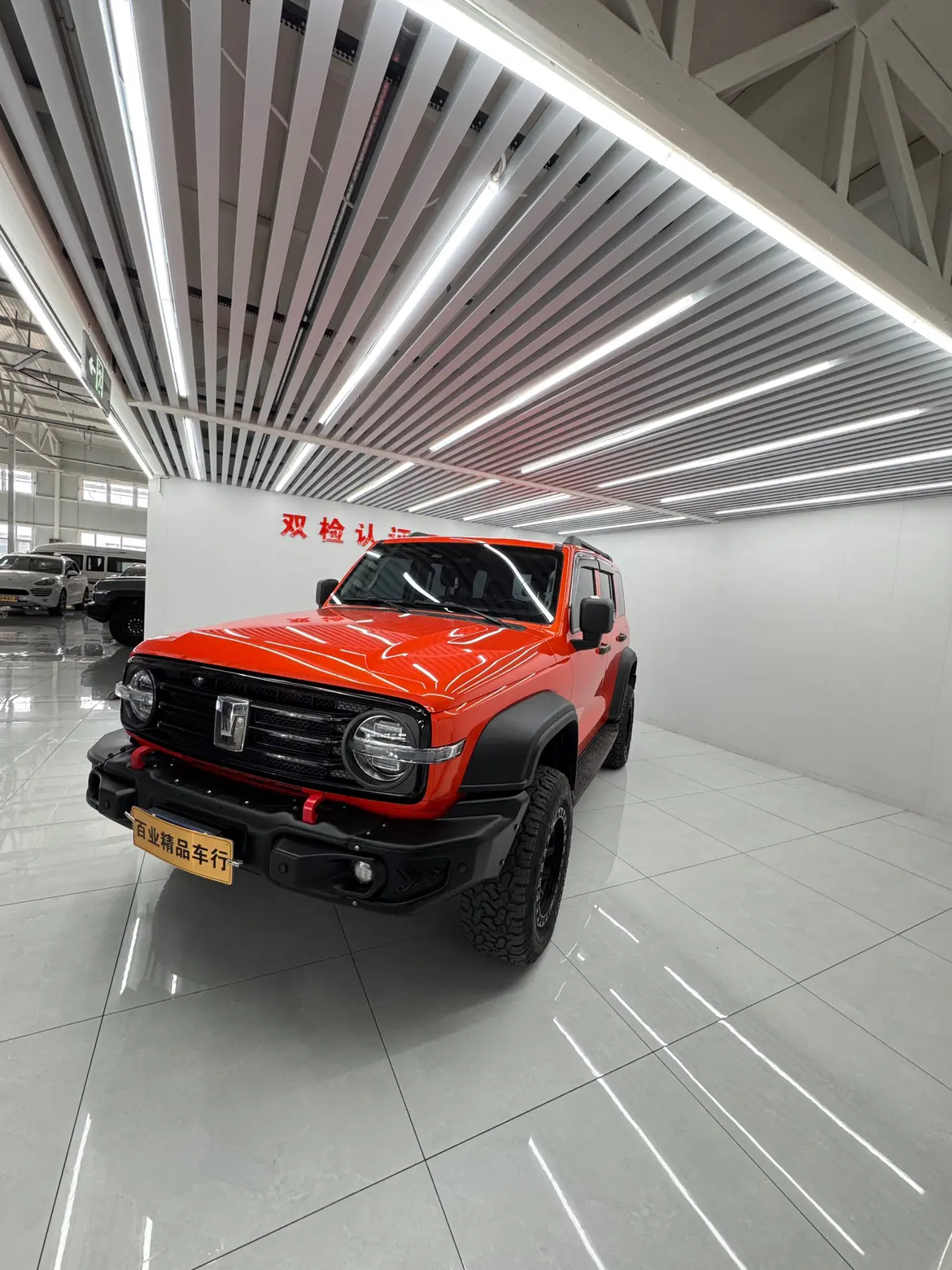 Tank 300  из Китая