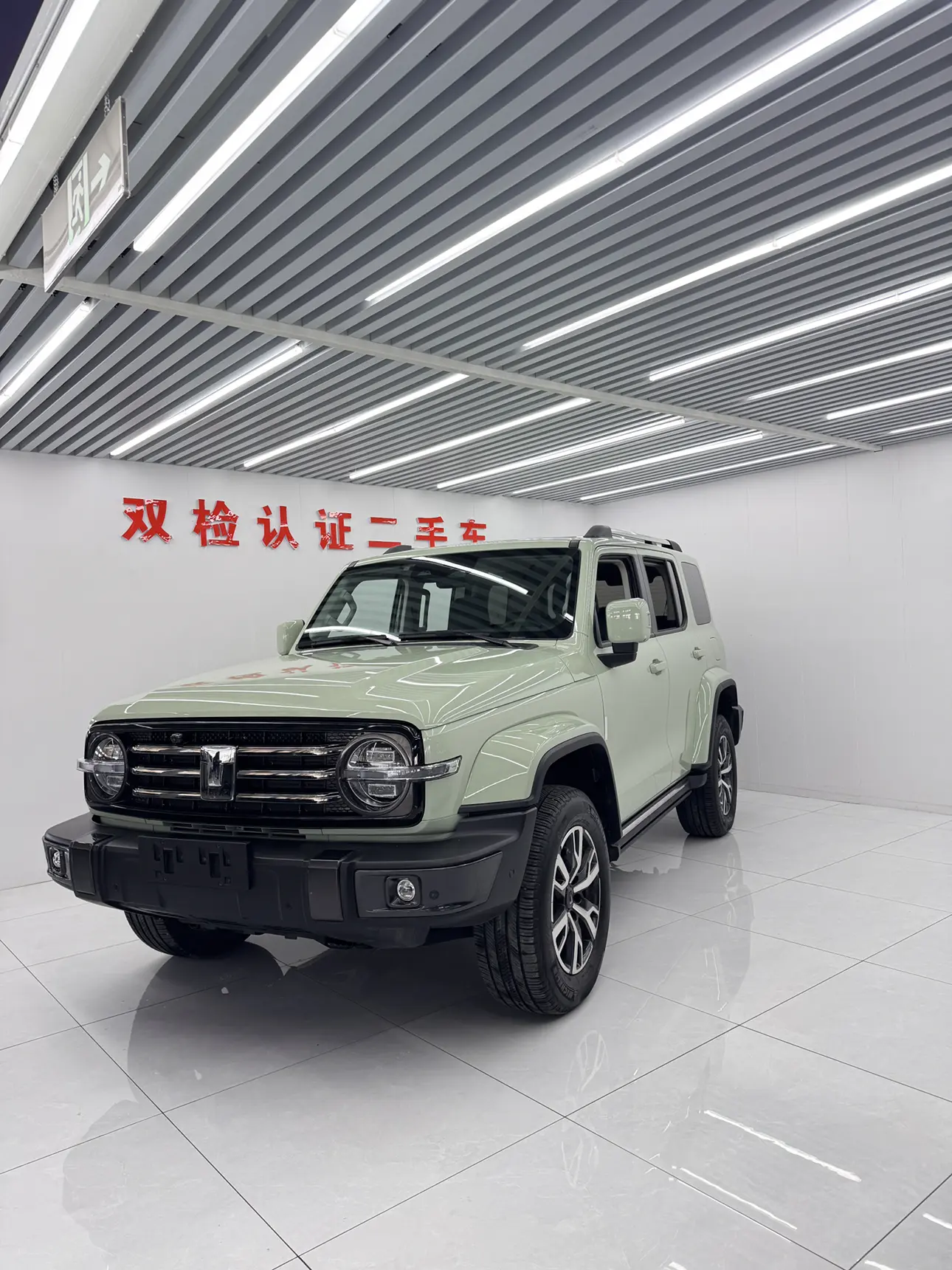 Tank 300  из Китая