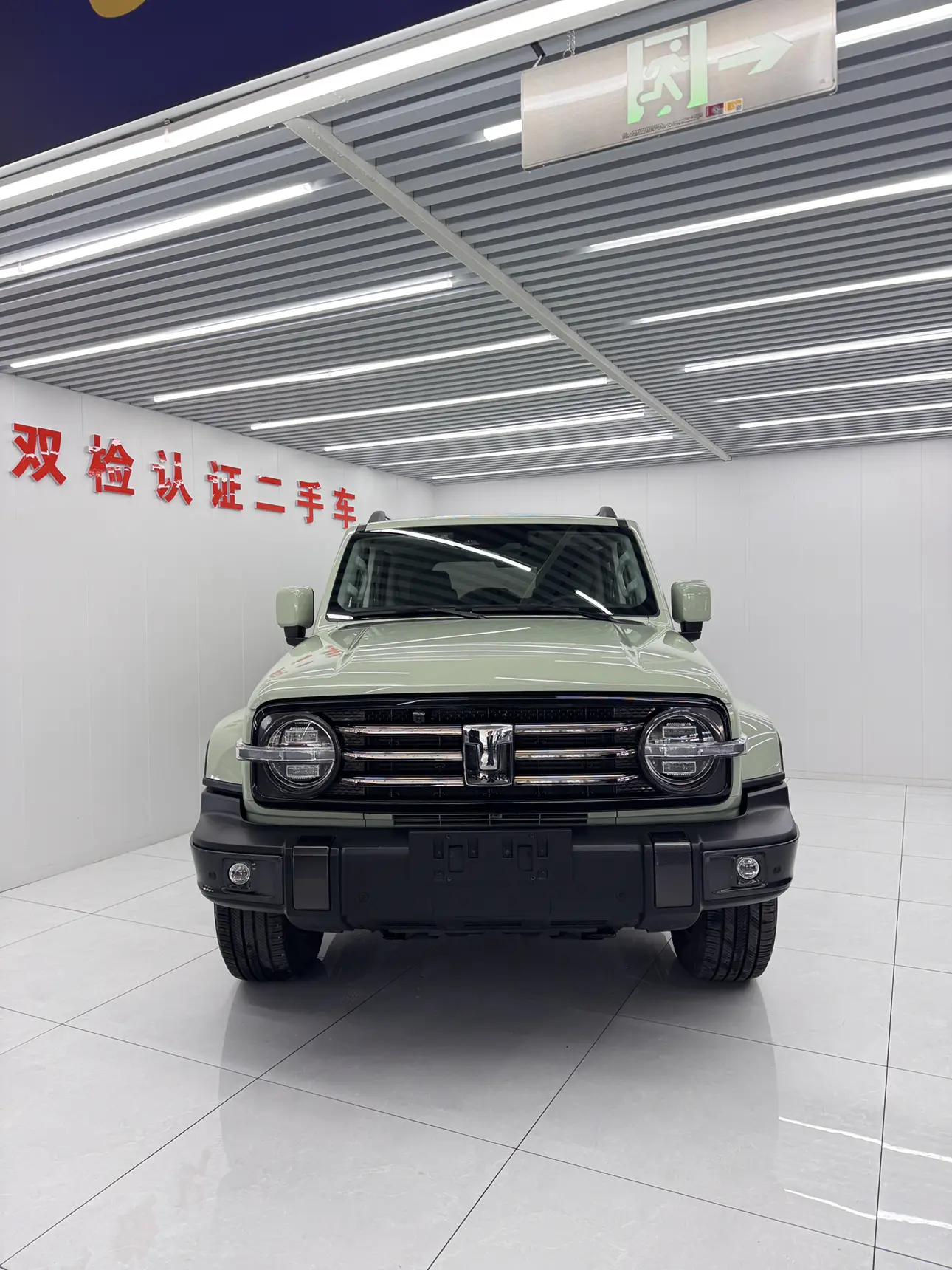 Tank 300  из Китая